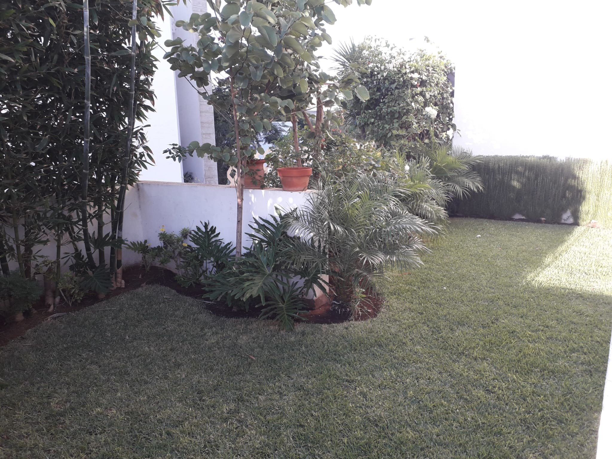 Location Appartement rez de jardin Bouskoura