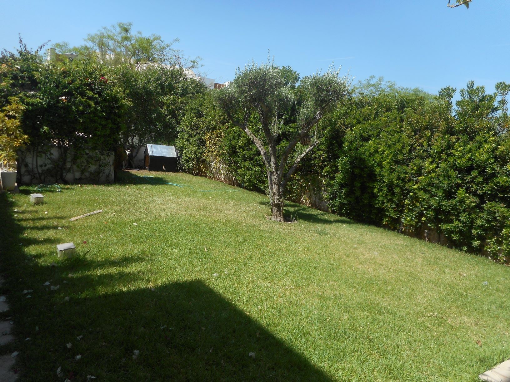 Location Villa vide  Bouskoura Casablanca — 2