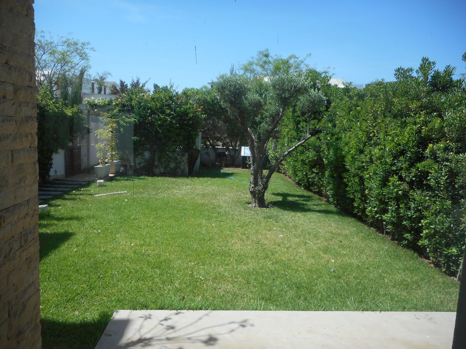 Villa 350 m² à Bouskoura — 7