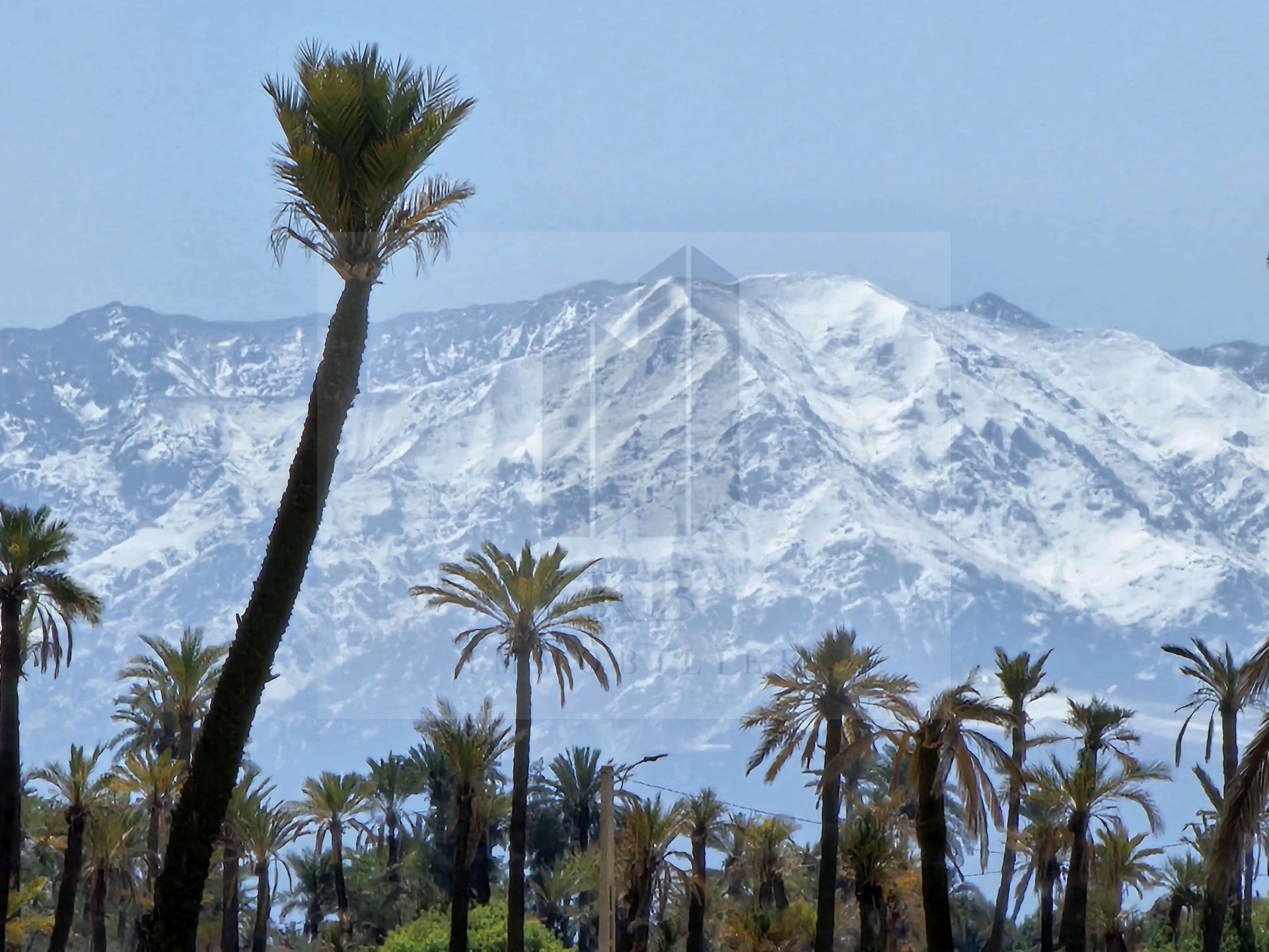 Terrain 1,5 Ha pour Projet Immobilier Rt de l'Ourika