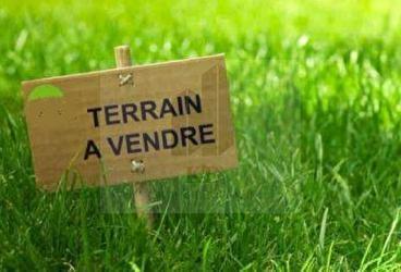 Terrain de 1,6 ha sur circuit de la  palmeraie