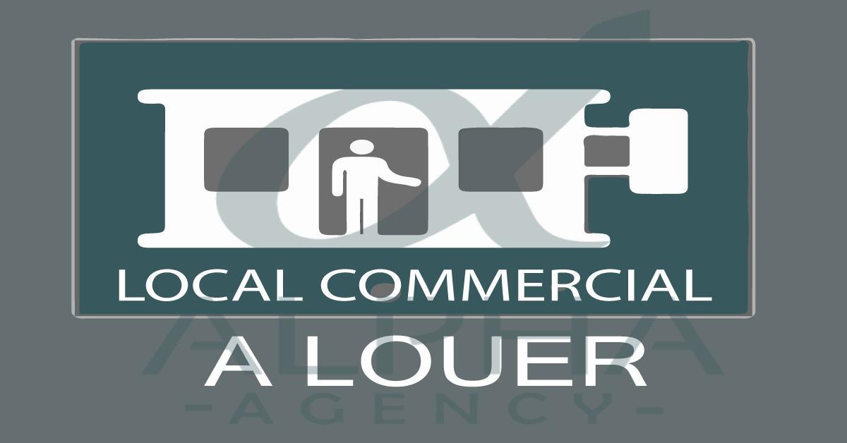 Local commercial pour location