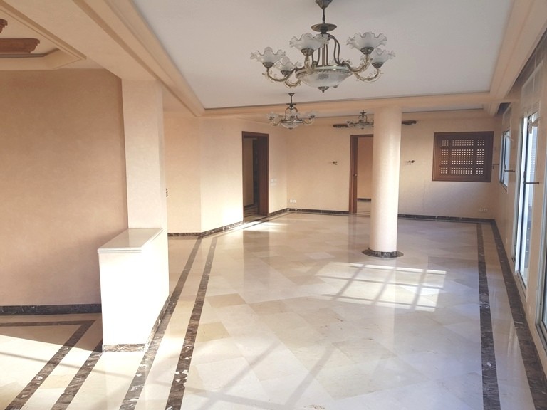 Un appartement spacieux en location vide sur Racine — 4