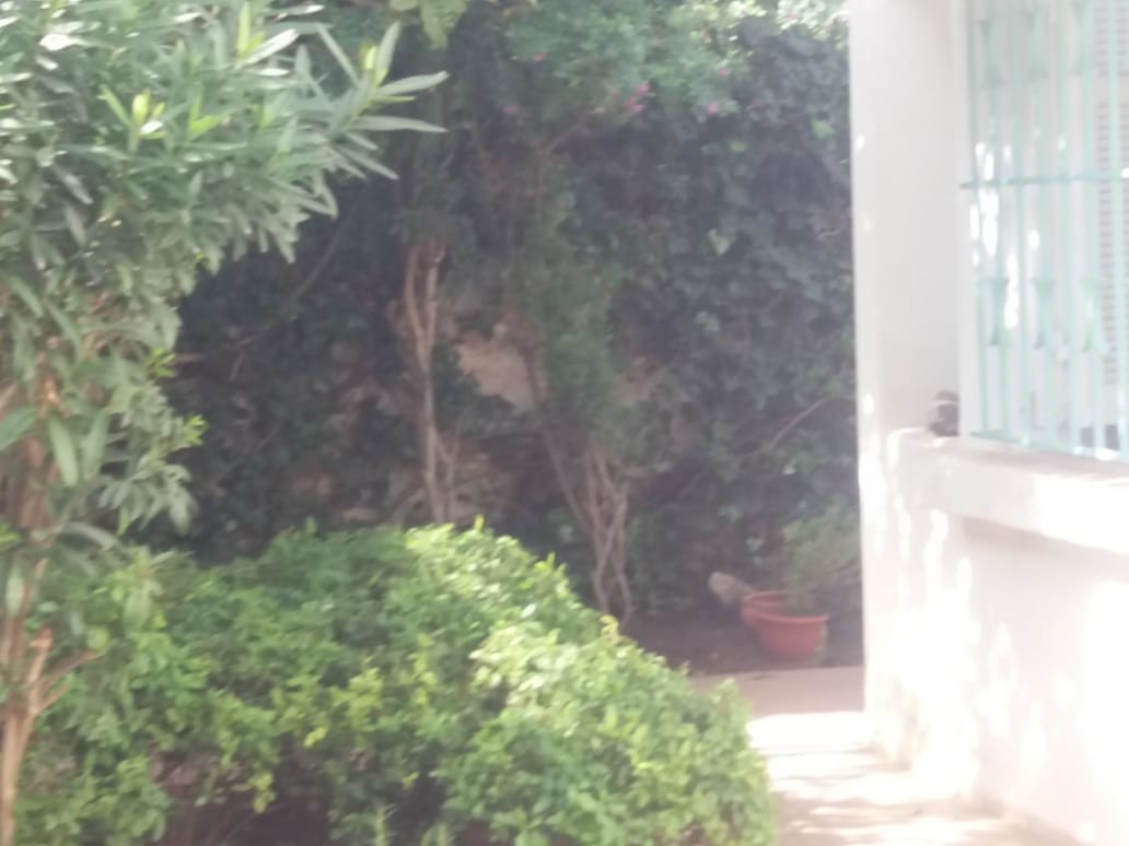Villa à vendre — 6