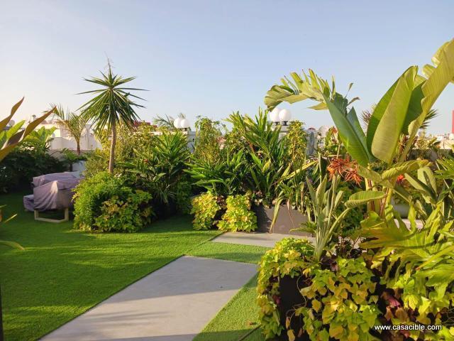 Triangle d'or: studio luxueux, terrasse. — 5