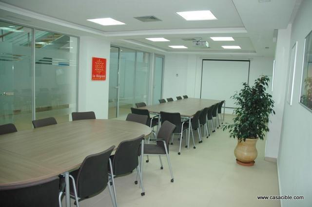 Palmier:  plateau bureau vide ideal pour restaurant. — 2