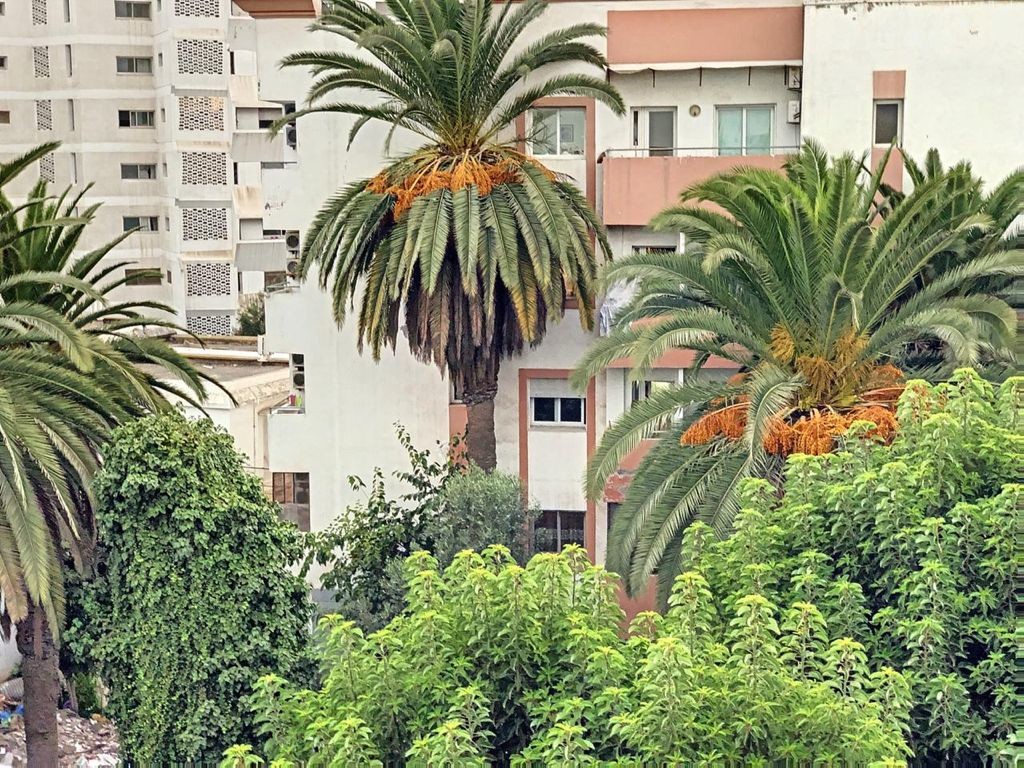 استوديو 65 م² في Centre Ville Casablanca — 8
