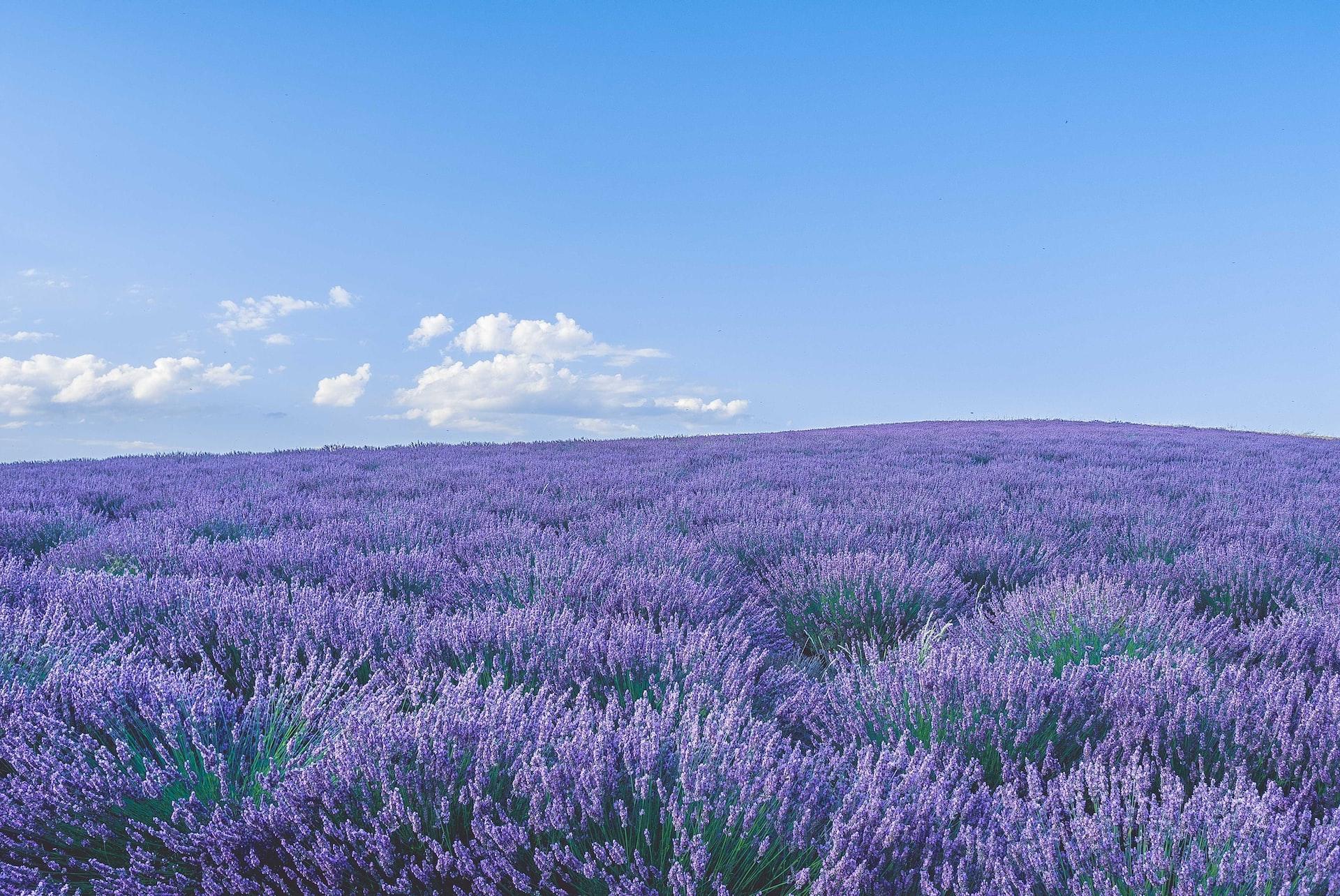 Terrain de 680 m² à vendre — 4