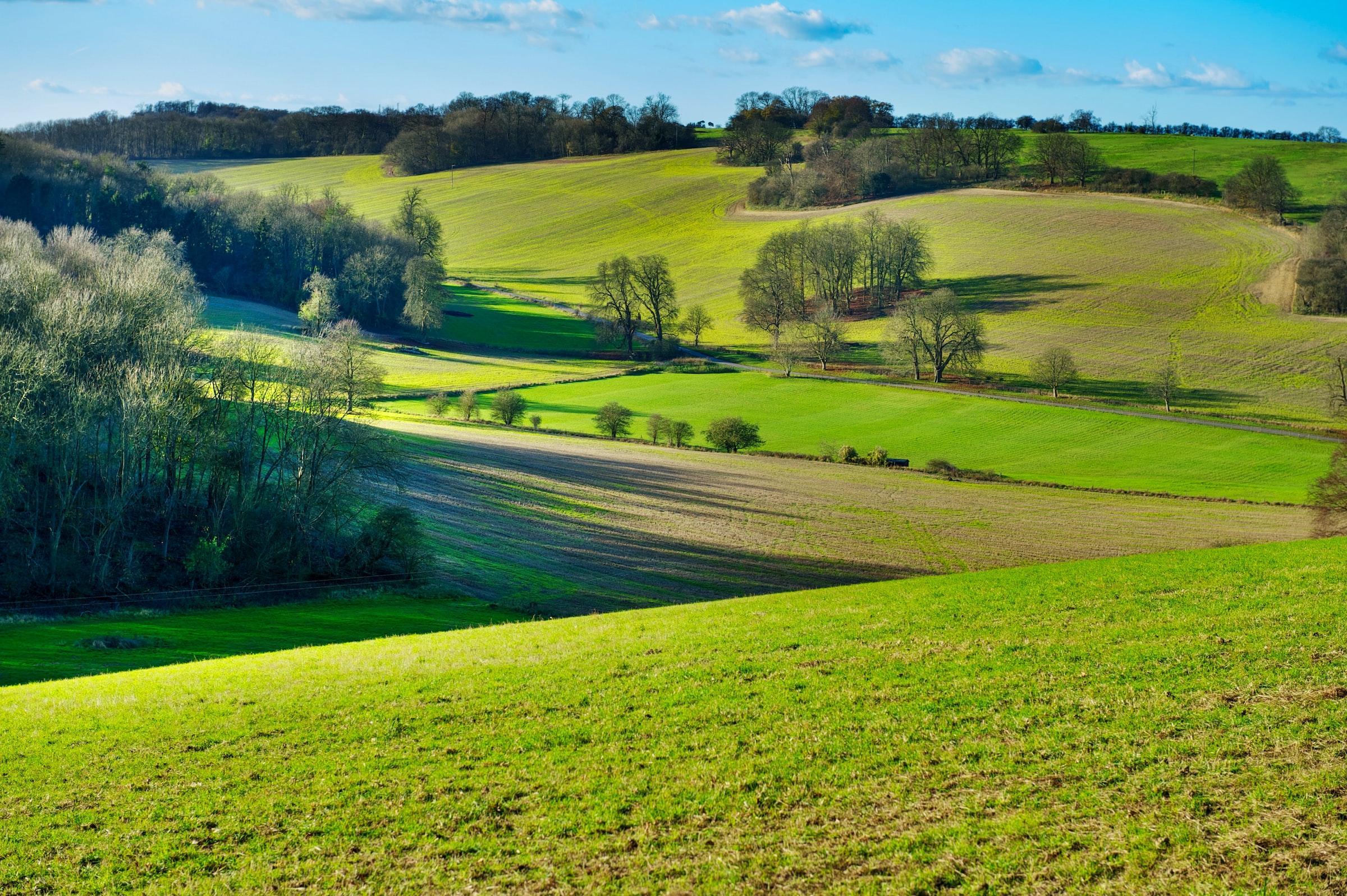Terrain de 641 m² à vendre — 6