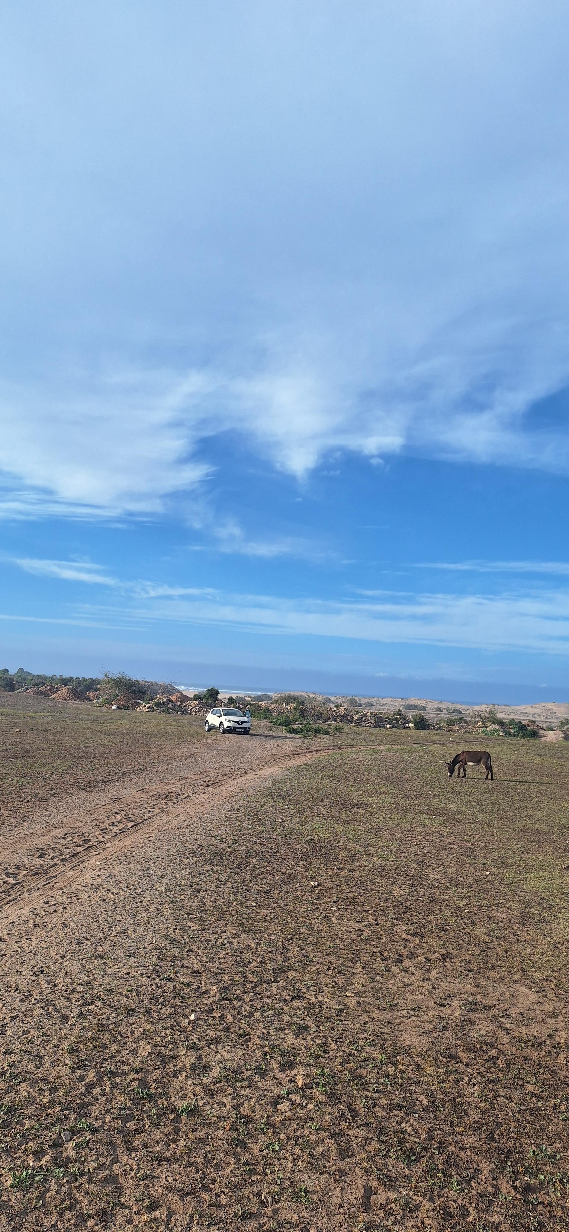 TERRAIN AVENDRE ZONE BT2s ET VILLAS D1 DAR BOUAZA