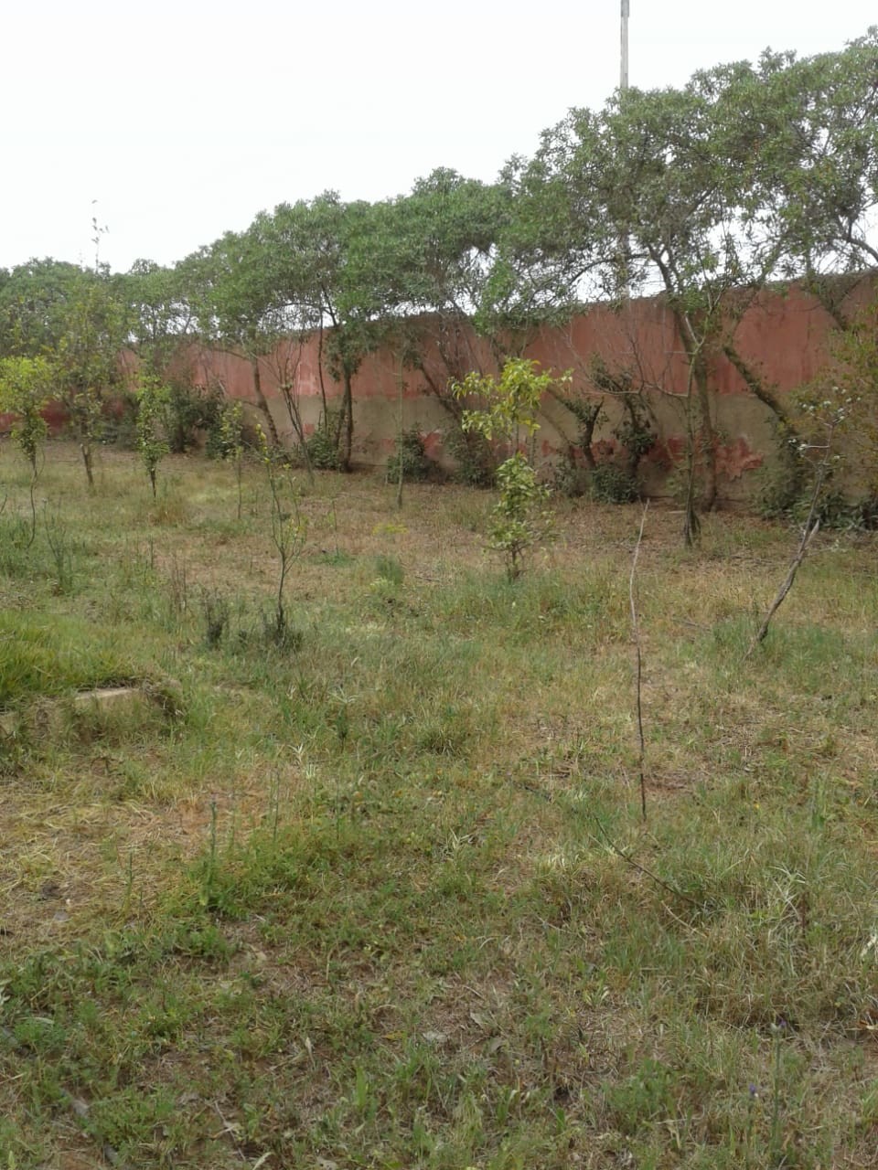 Terrain 500 m² f Tamaris — 7