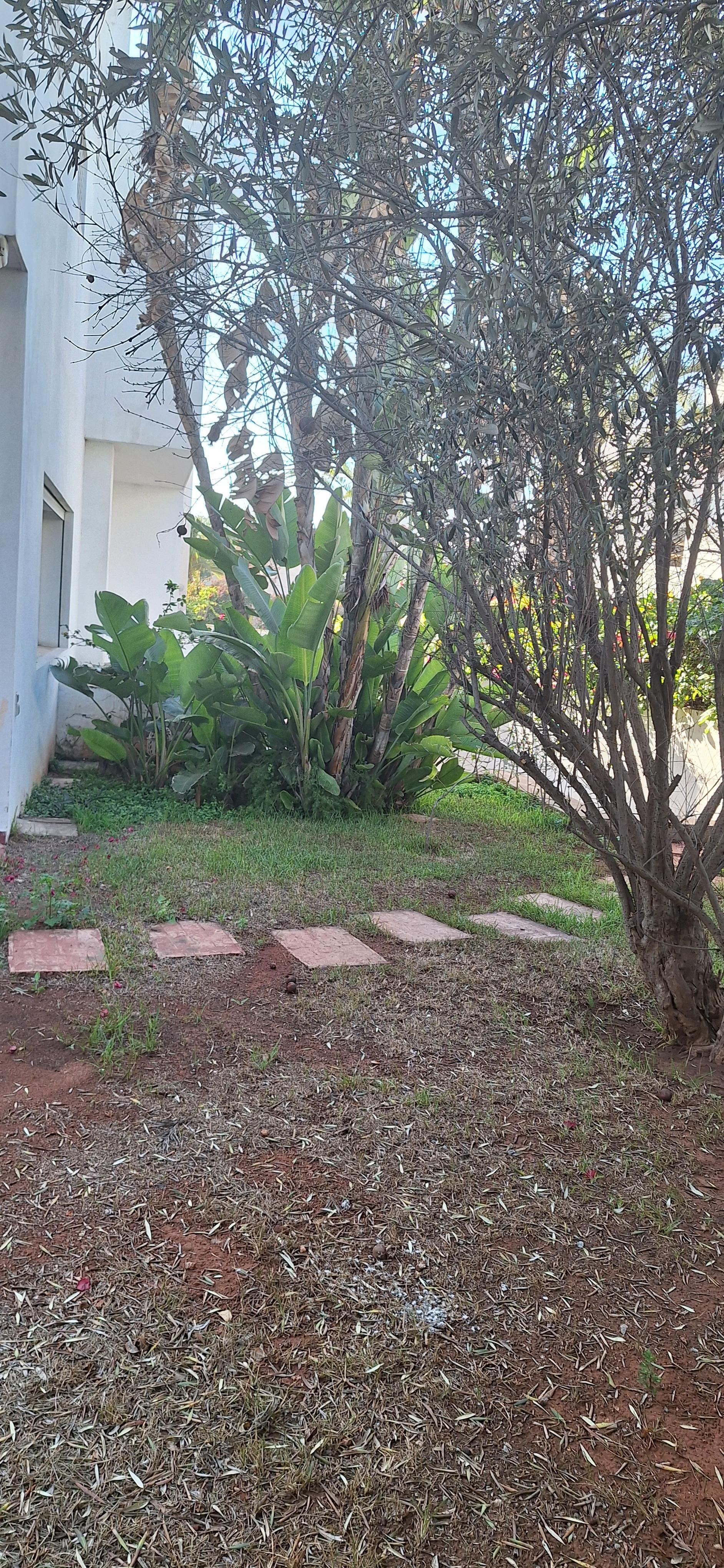 TERRAIN AVENDRE QUARTIER LES PRINCESSES — 2