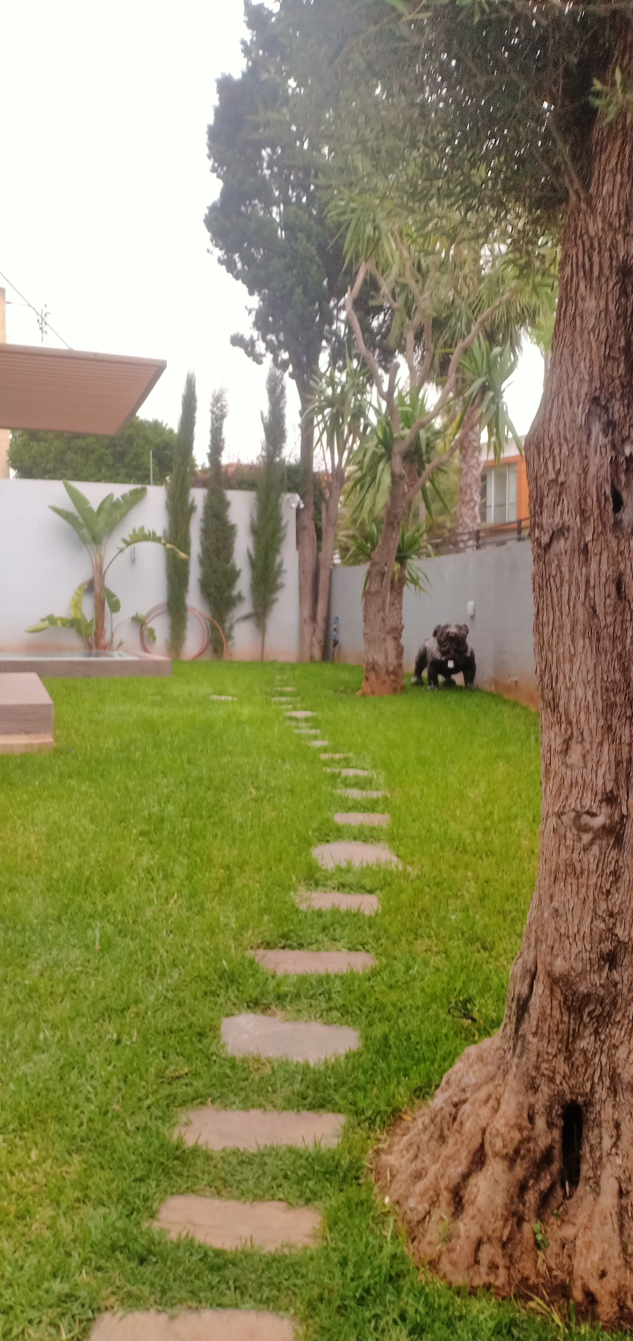 VILLA  AVENDRE  QUARTIER  AINDIAB