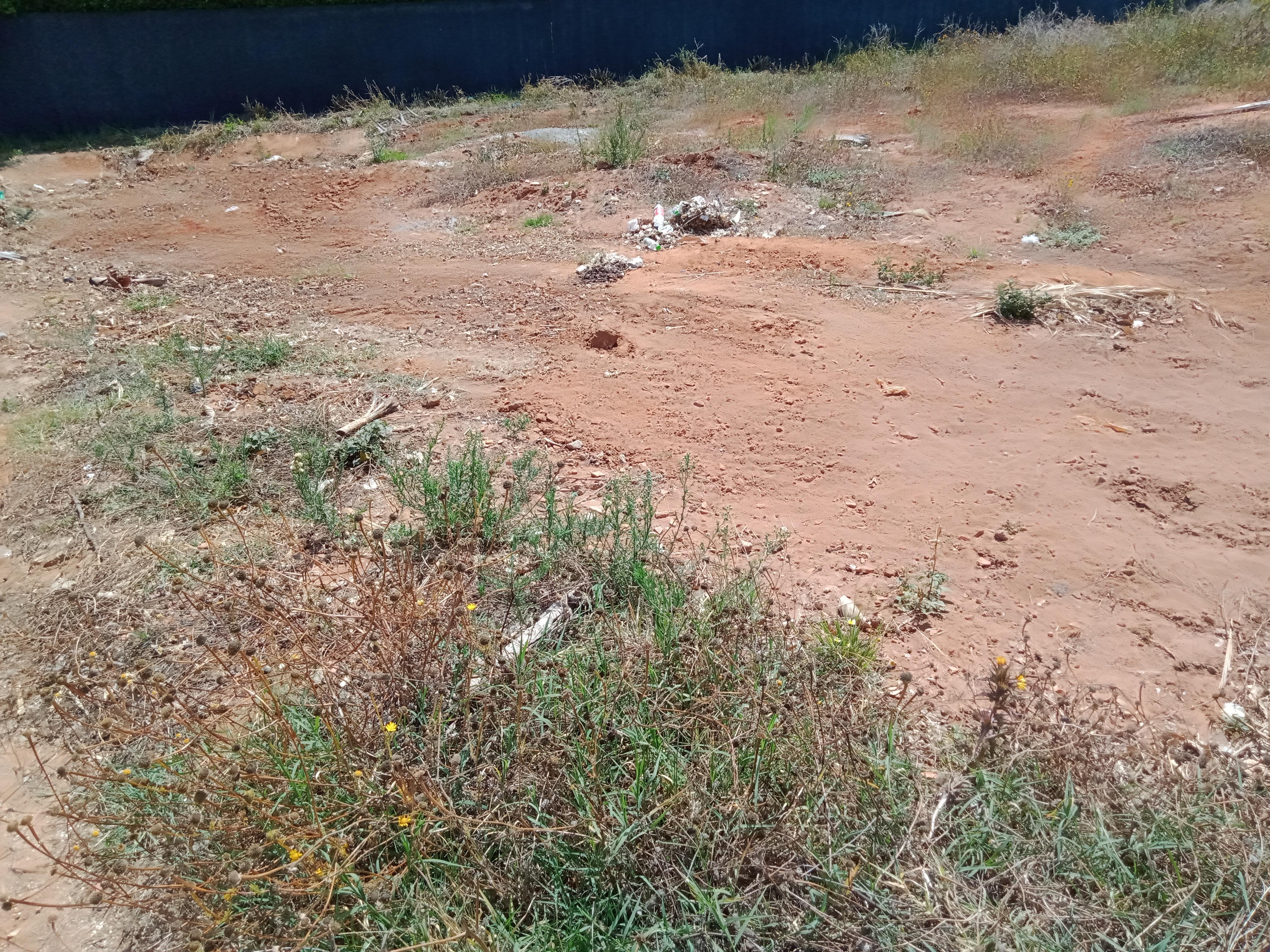Terrain commercial à vendre situé a Bir Kacem Souissi — 2
