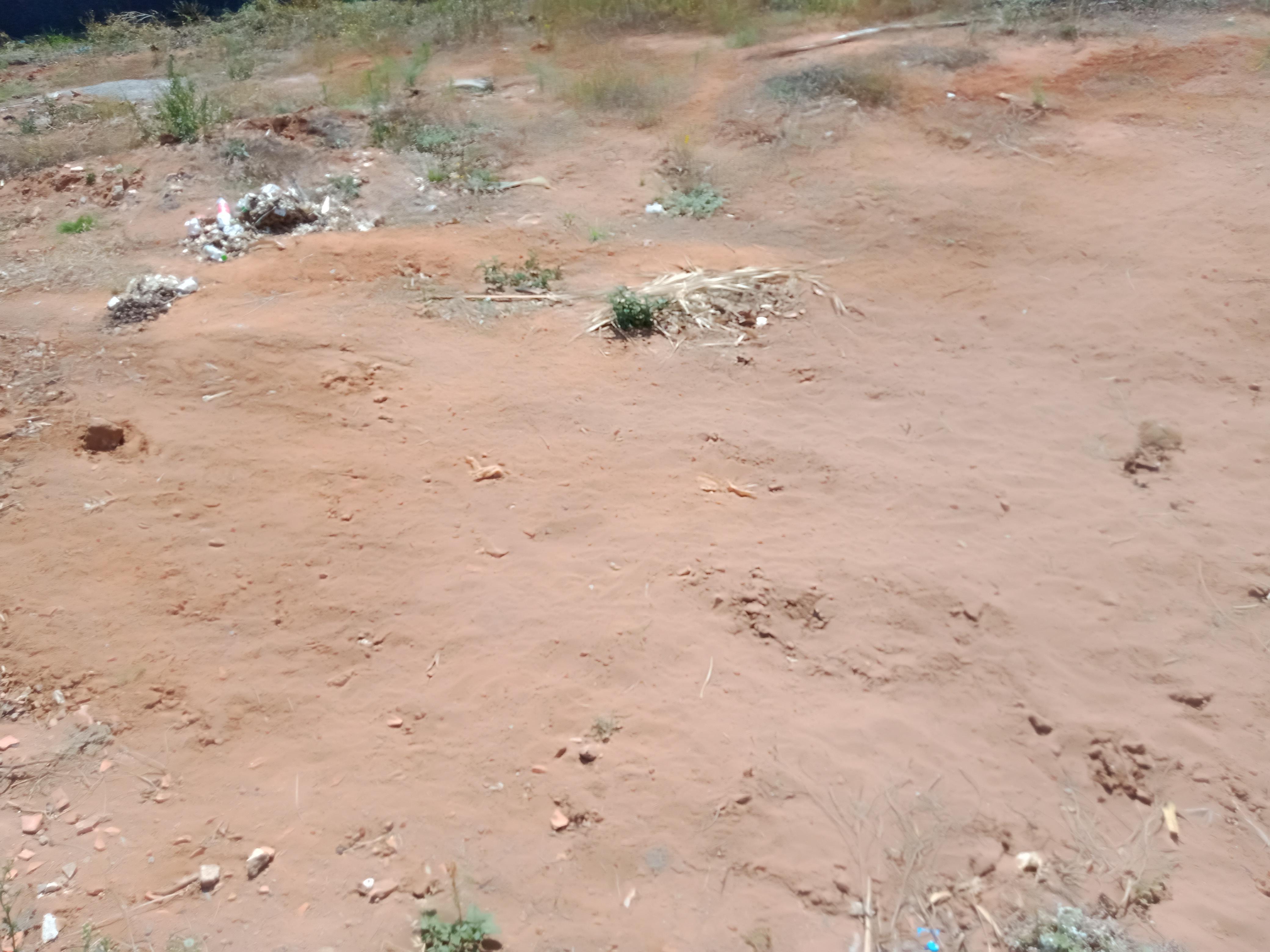 Terrain commercial à vendre situé a Bir Kacem Souissi — 6