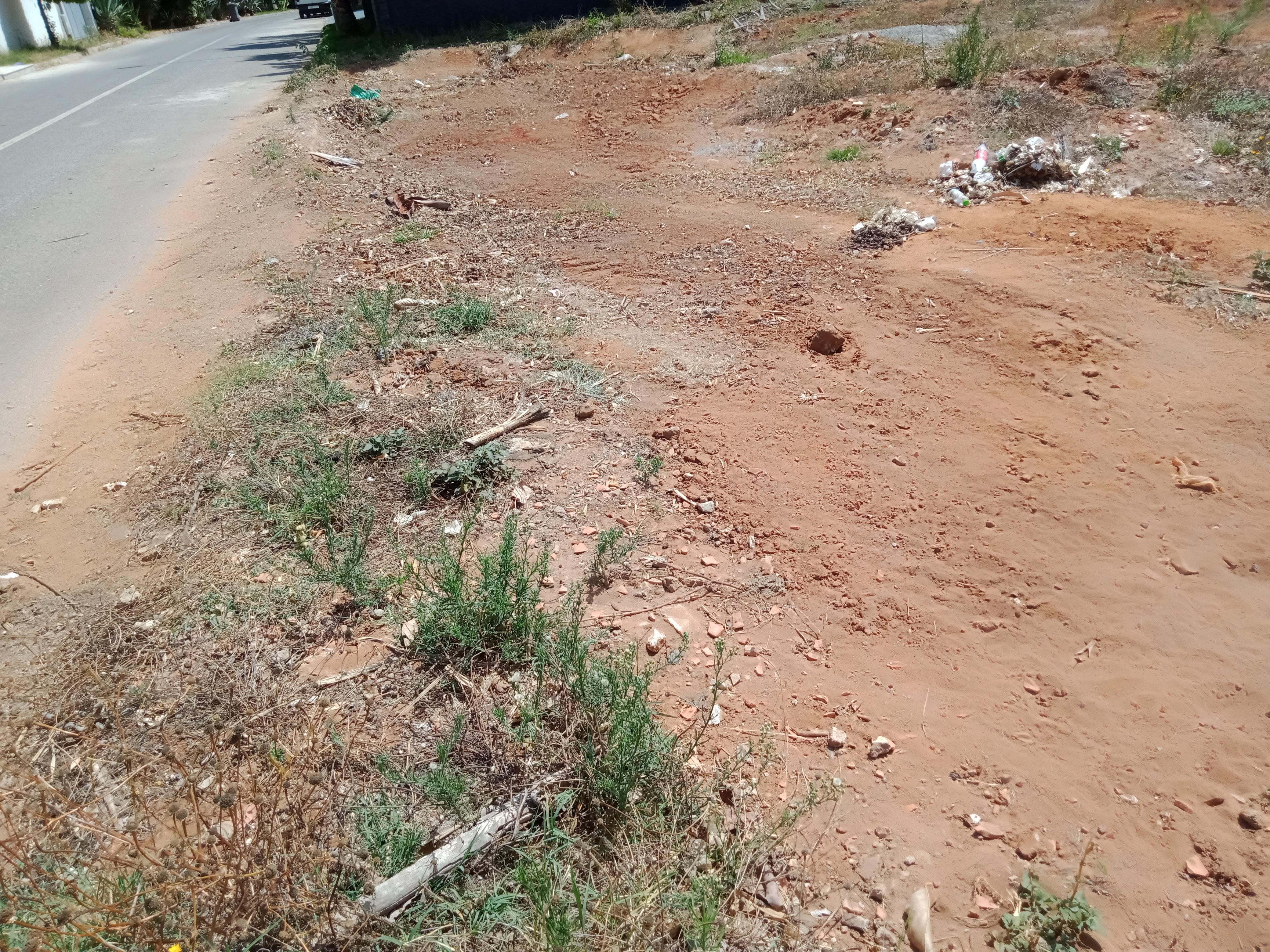Terrain f Souissi — 7