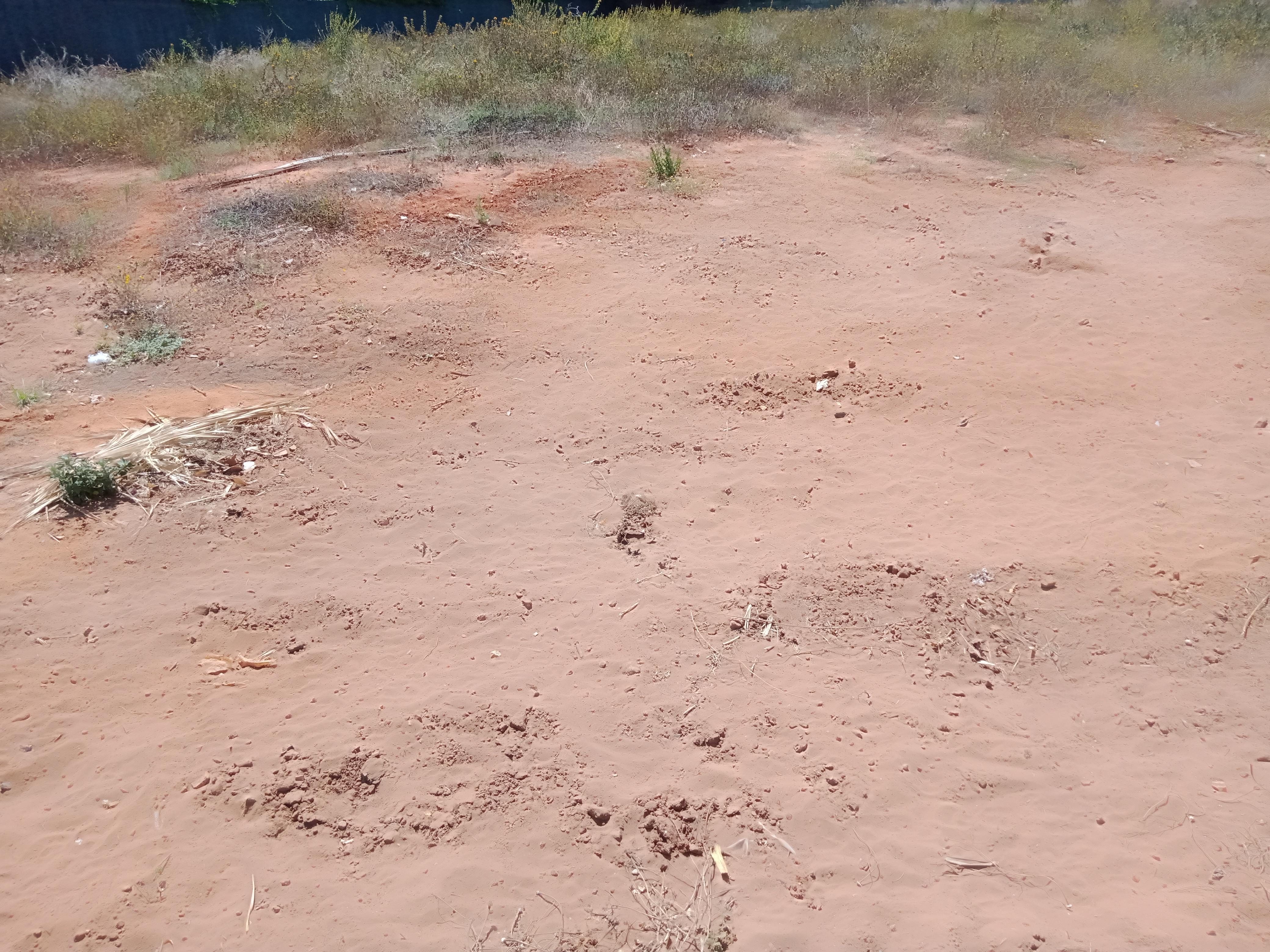 Terrain commercial à vendre situé a Bir Kacem Souissi — 5
