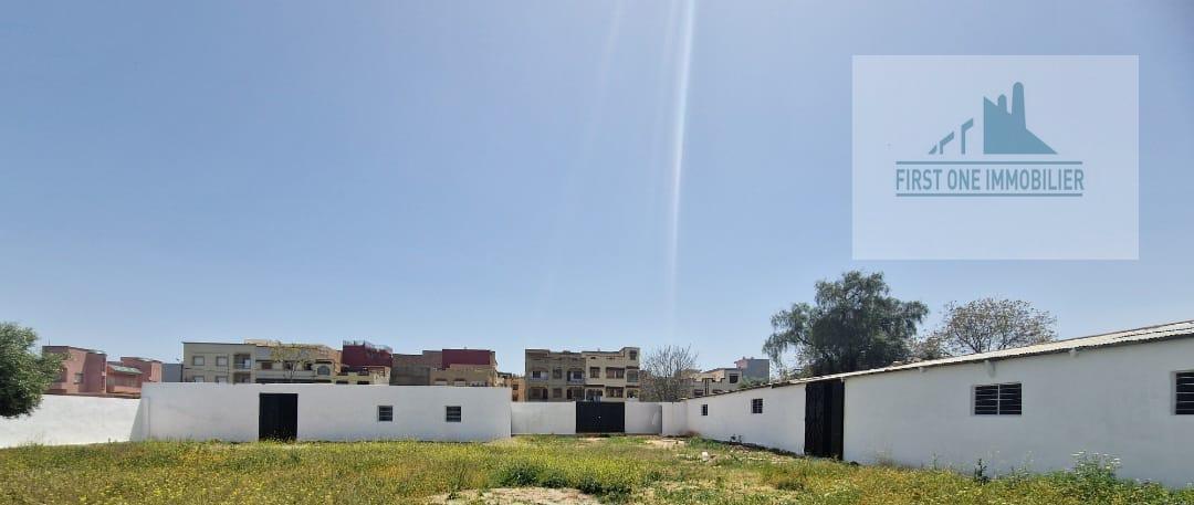Entrepôt de stockage 1500 m² Meknès — 4