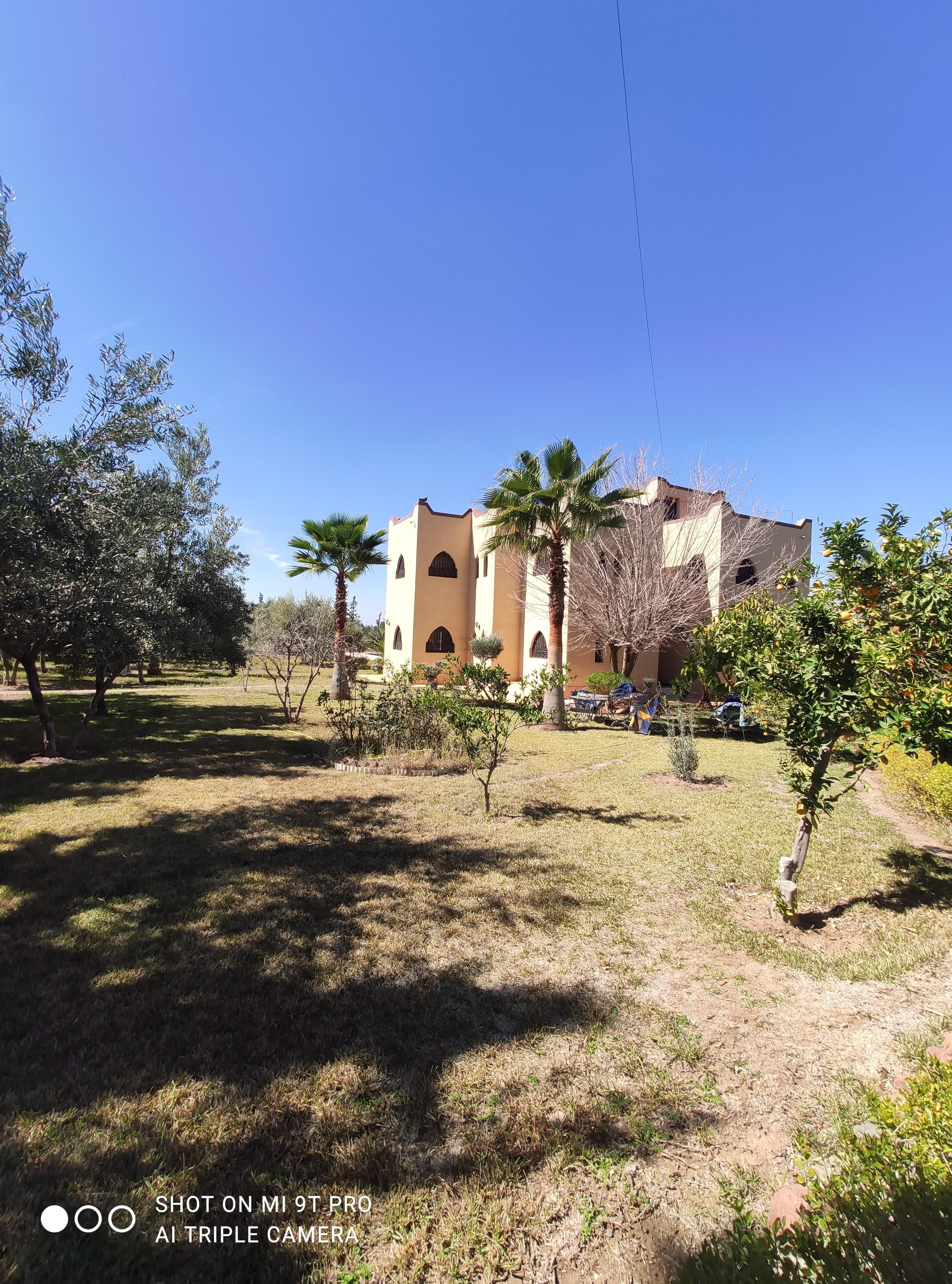Villa d'un hectare route d'Ourika — 3