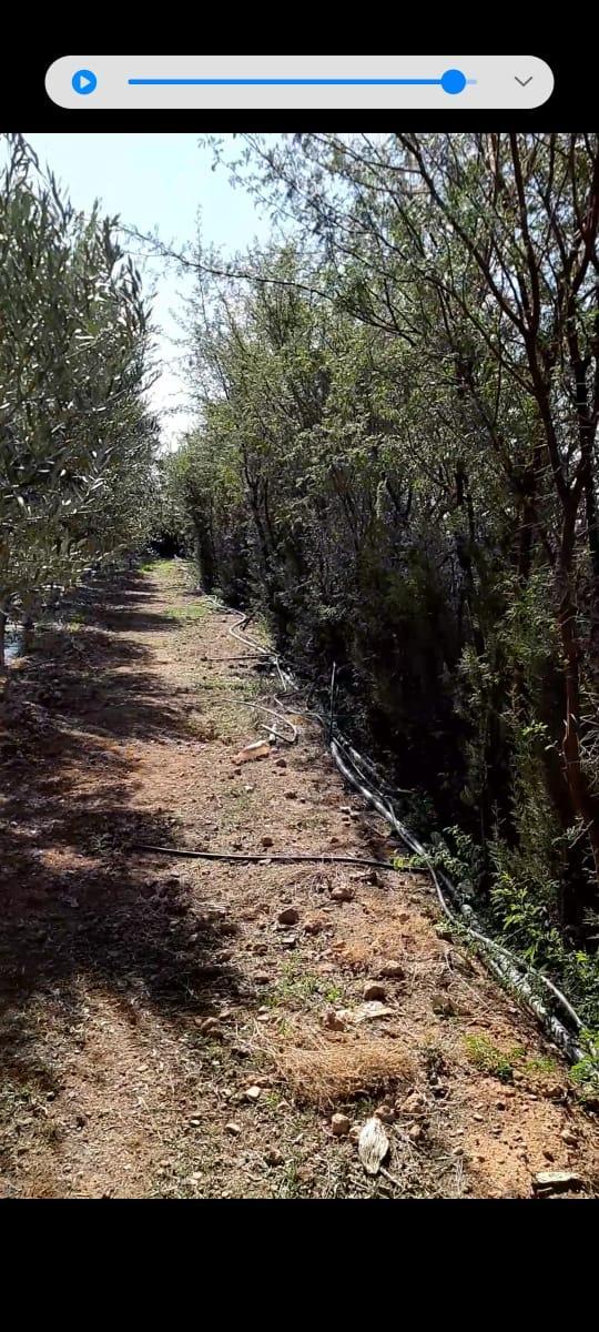 Ferme titrée d'un hectare à  Bouros — 2