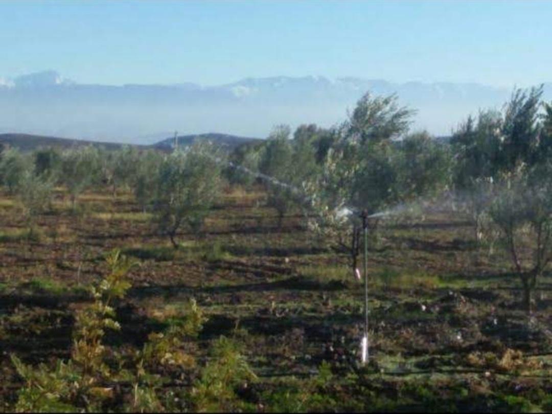 Ferme titrée d'un hectare à  Bouros — 3