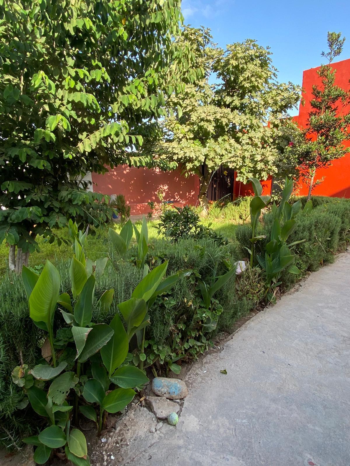 Maison melkia de 200 m² à Mejedba Mhamadia