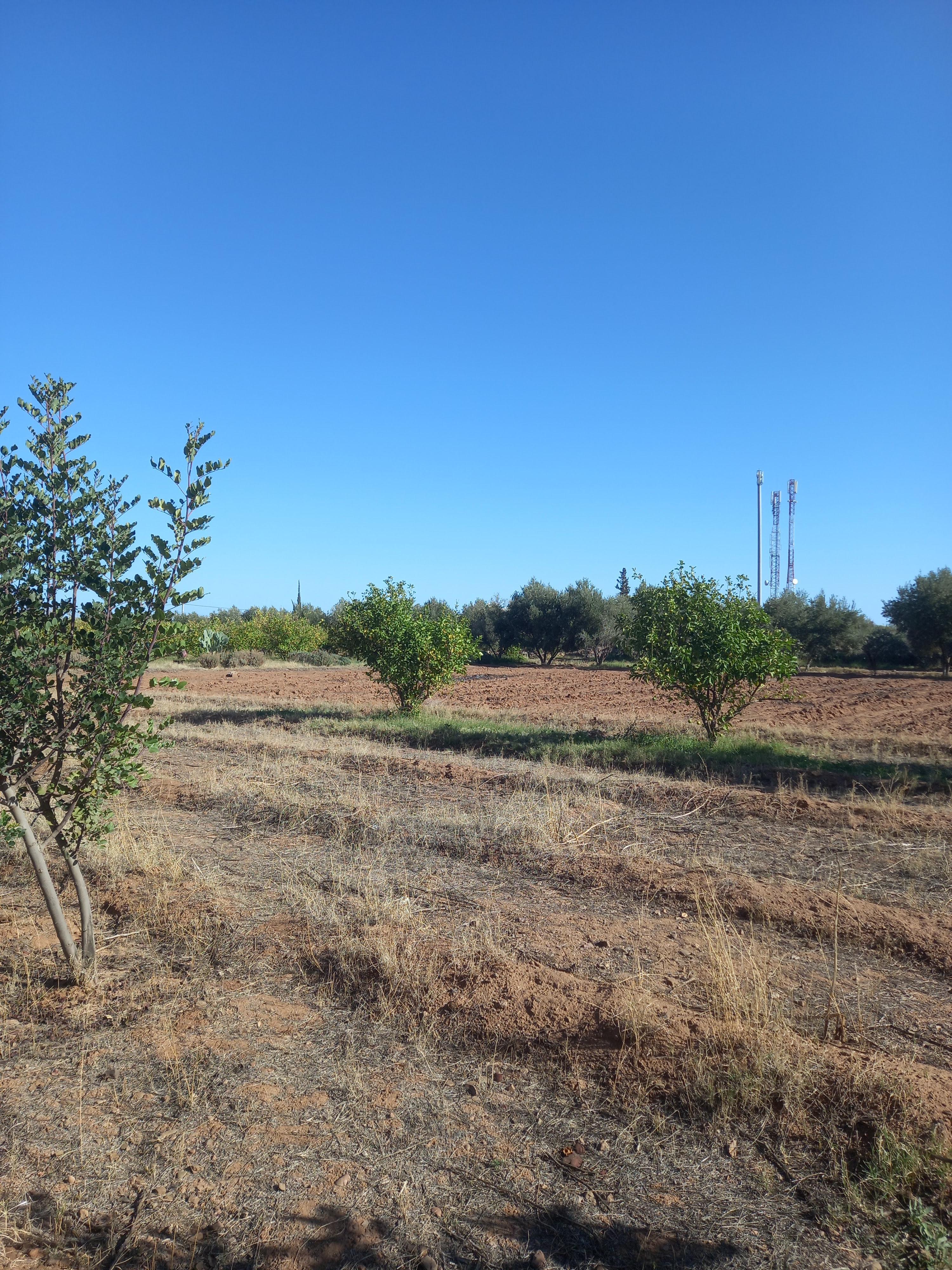 Lot de villa Rte Ourika de 1452 m² Melkia — 2