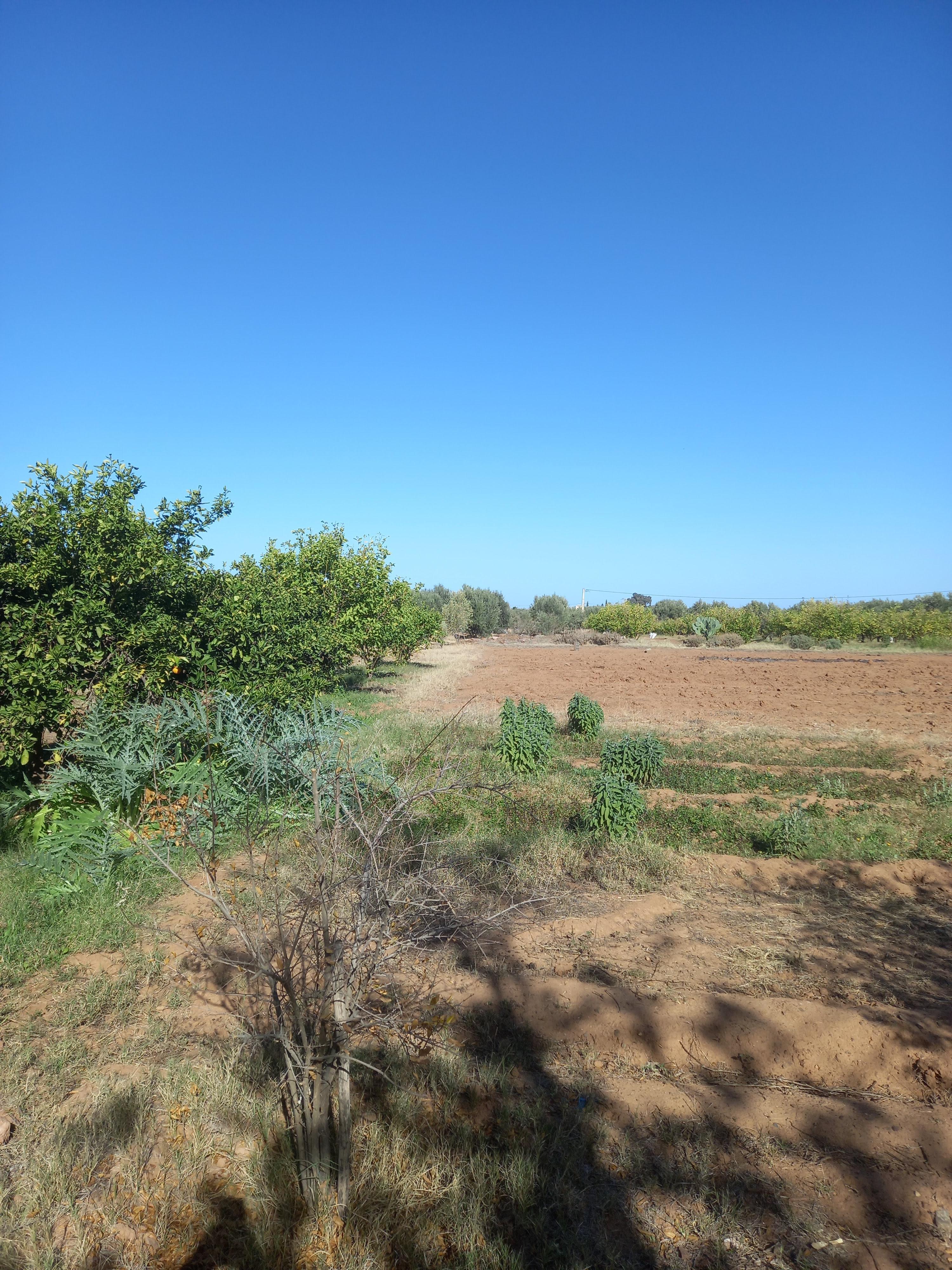 Lot de villa Rte Ourika de 1452 m² Melkia — 5