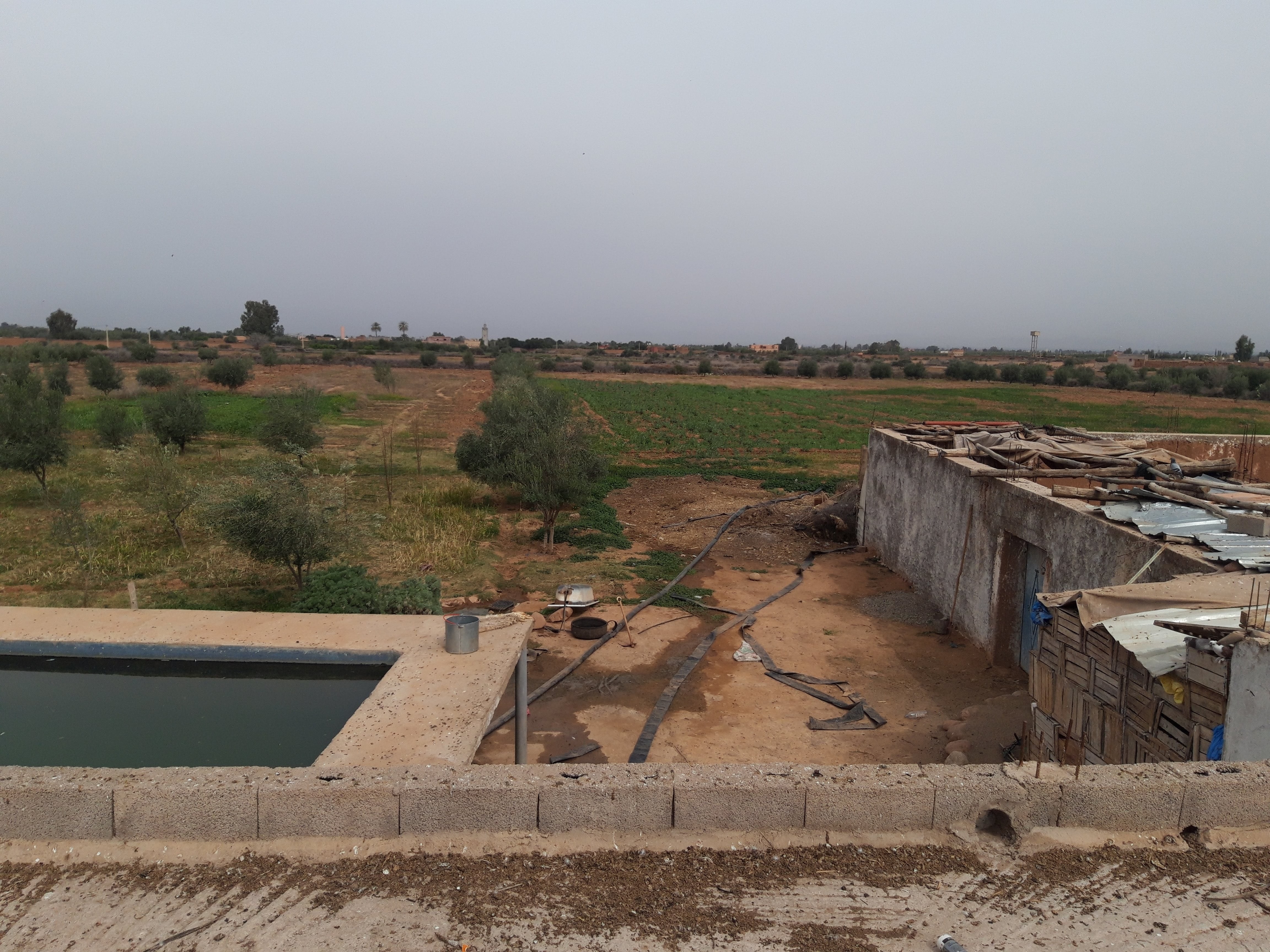 Ferme titrée de 4 Hectares à Sidi Abdellah Ghiat — 4