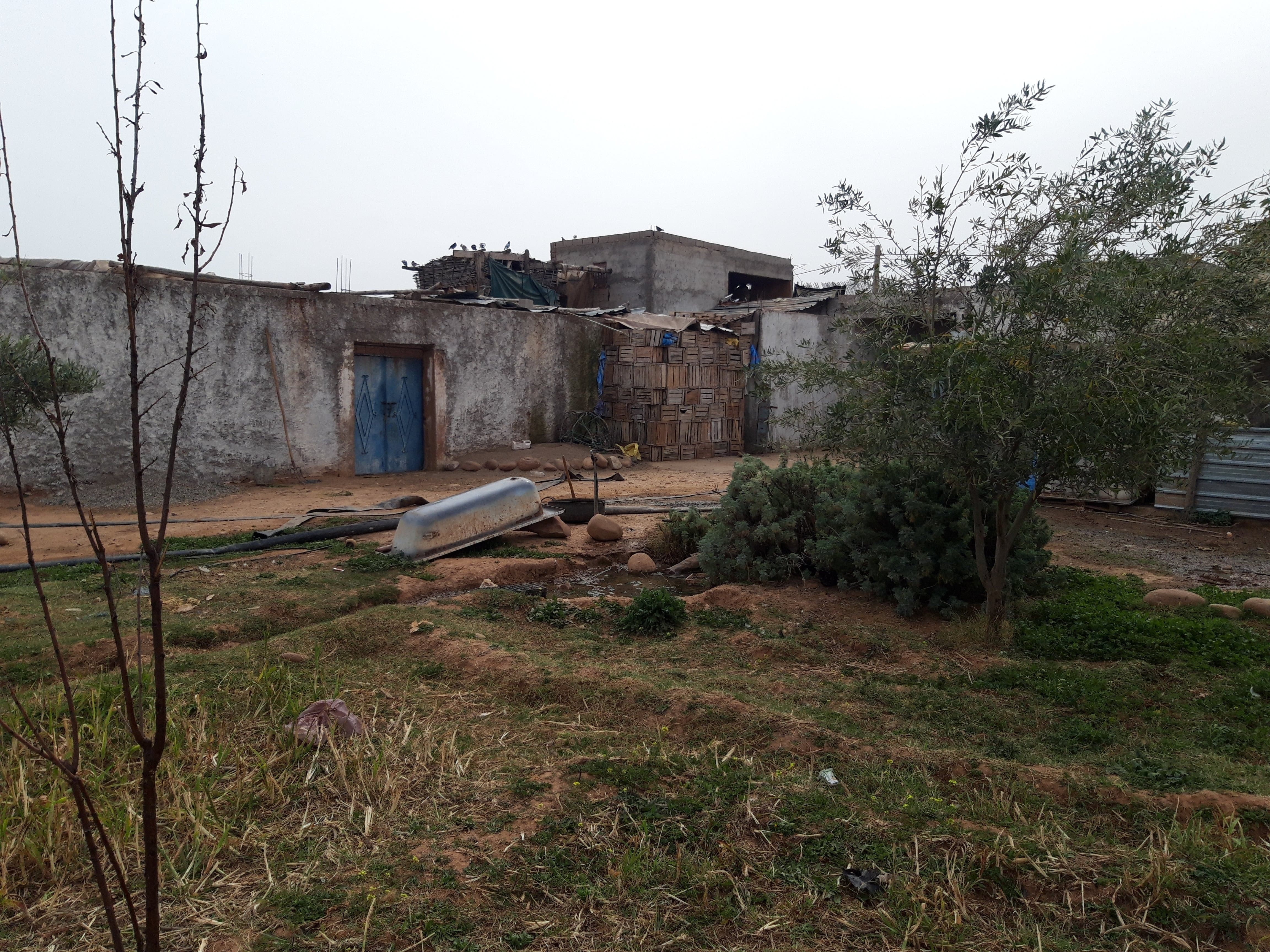 Terrain 40000 m² f Sidi Abdellah Ghiat — 8