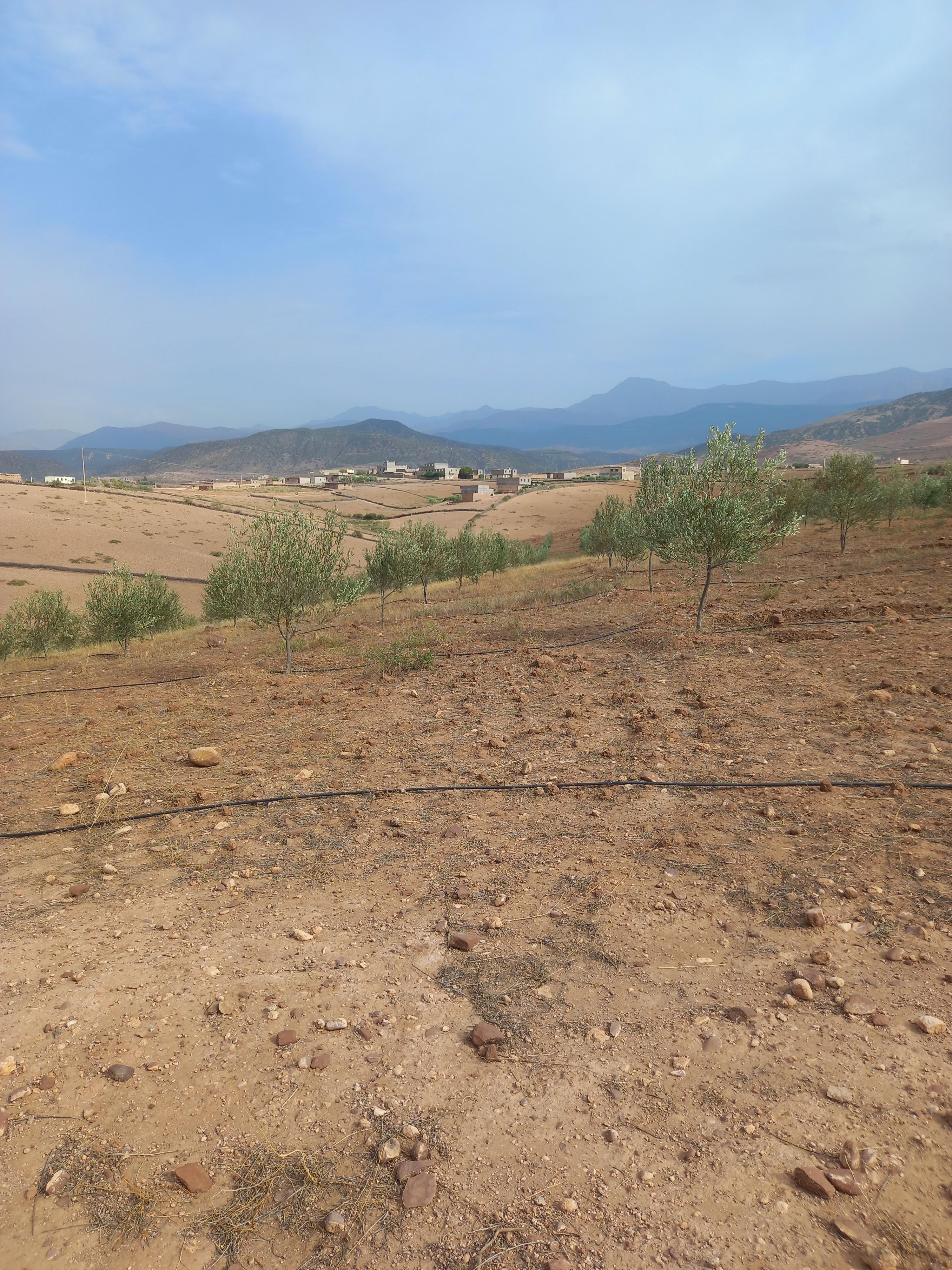 Ferme titrée de 2 hectares entre Ourika et Tahnaout — 3