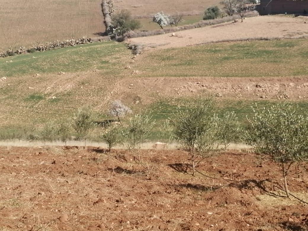 أرض في Route d'Ourika — 7