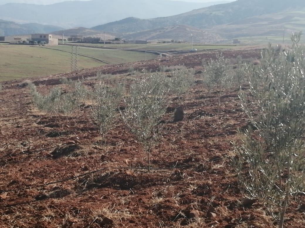 أرض في Route d'Ourika — 8