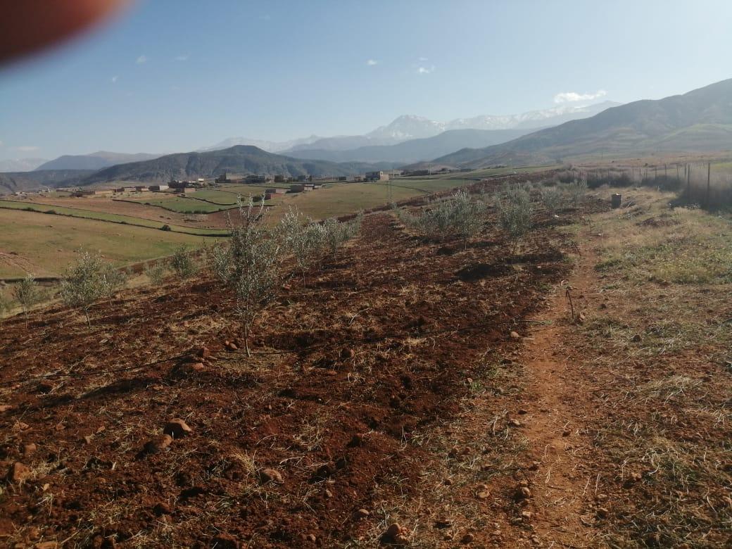 أرض في Route d'Ourika — 9