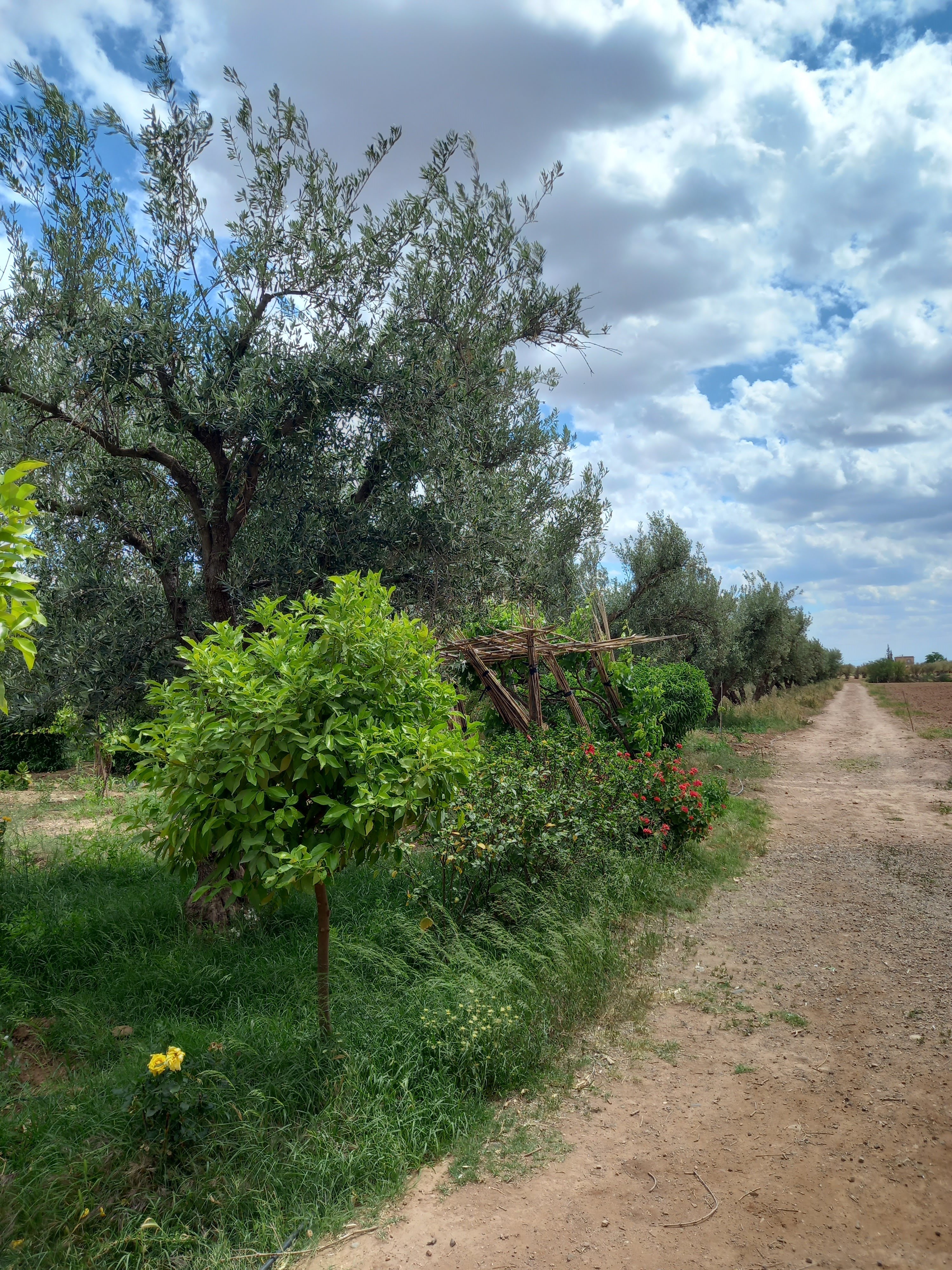 Ferme de 2.5 hectares sur la roue de Fès — 2