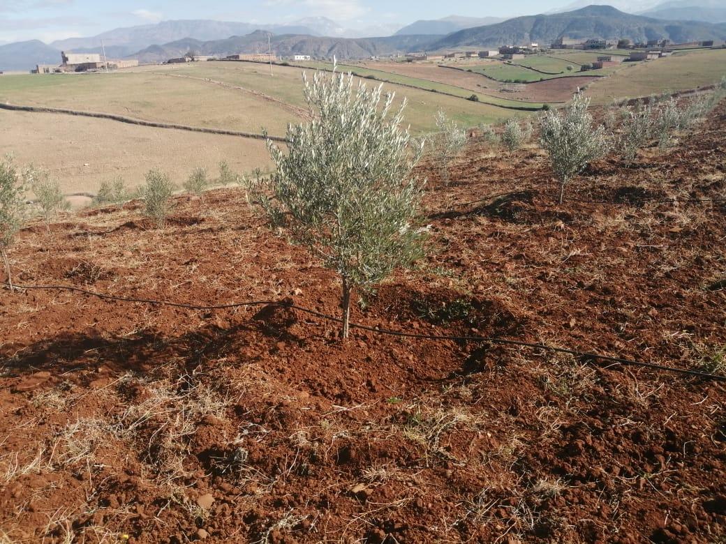 أرض في Route d'Ourika — 10