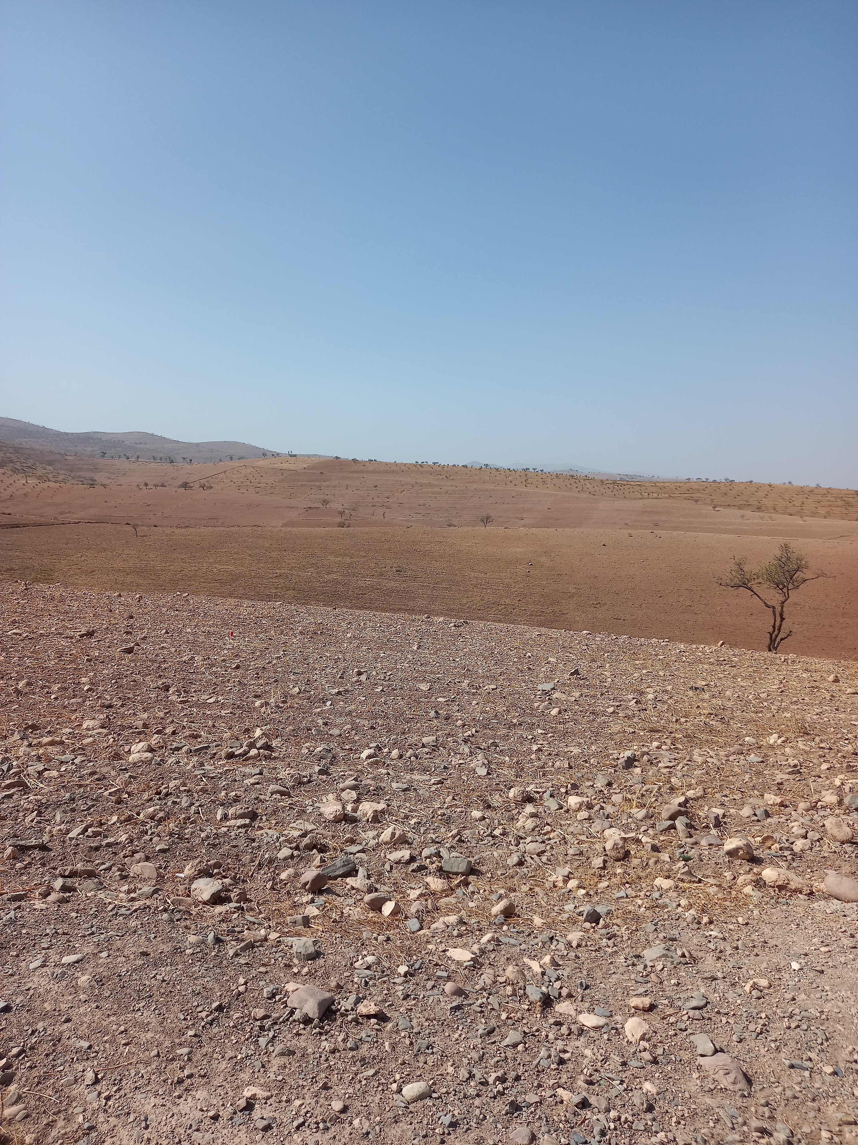 Terrain de 4.6H à Tahnaout 30 km de Marrakech