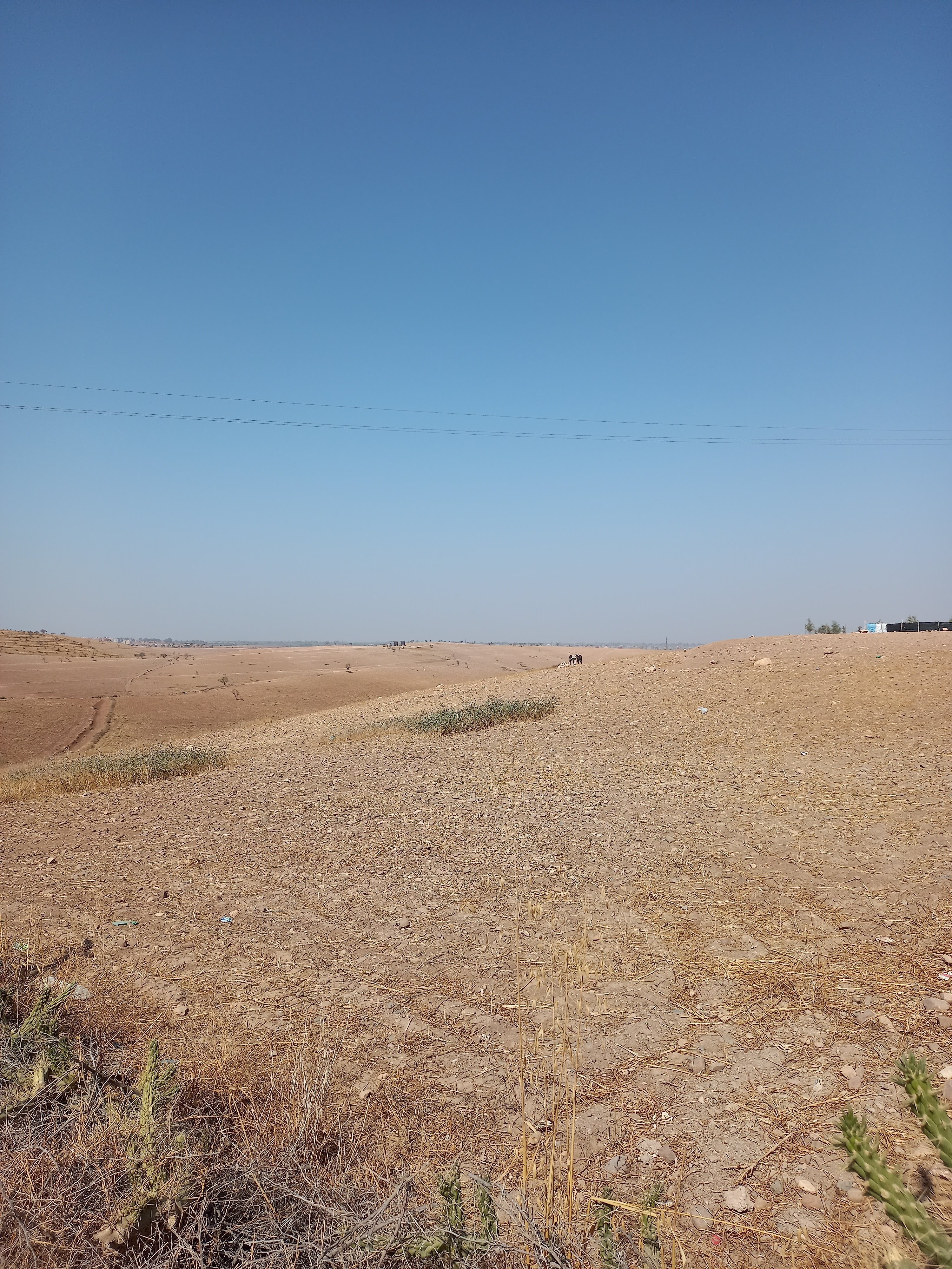 Terrain de 4.6H à Tahnaout 30 km de Marrakech — 5