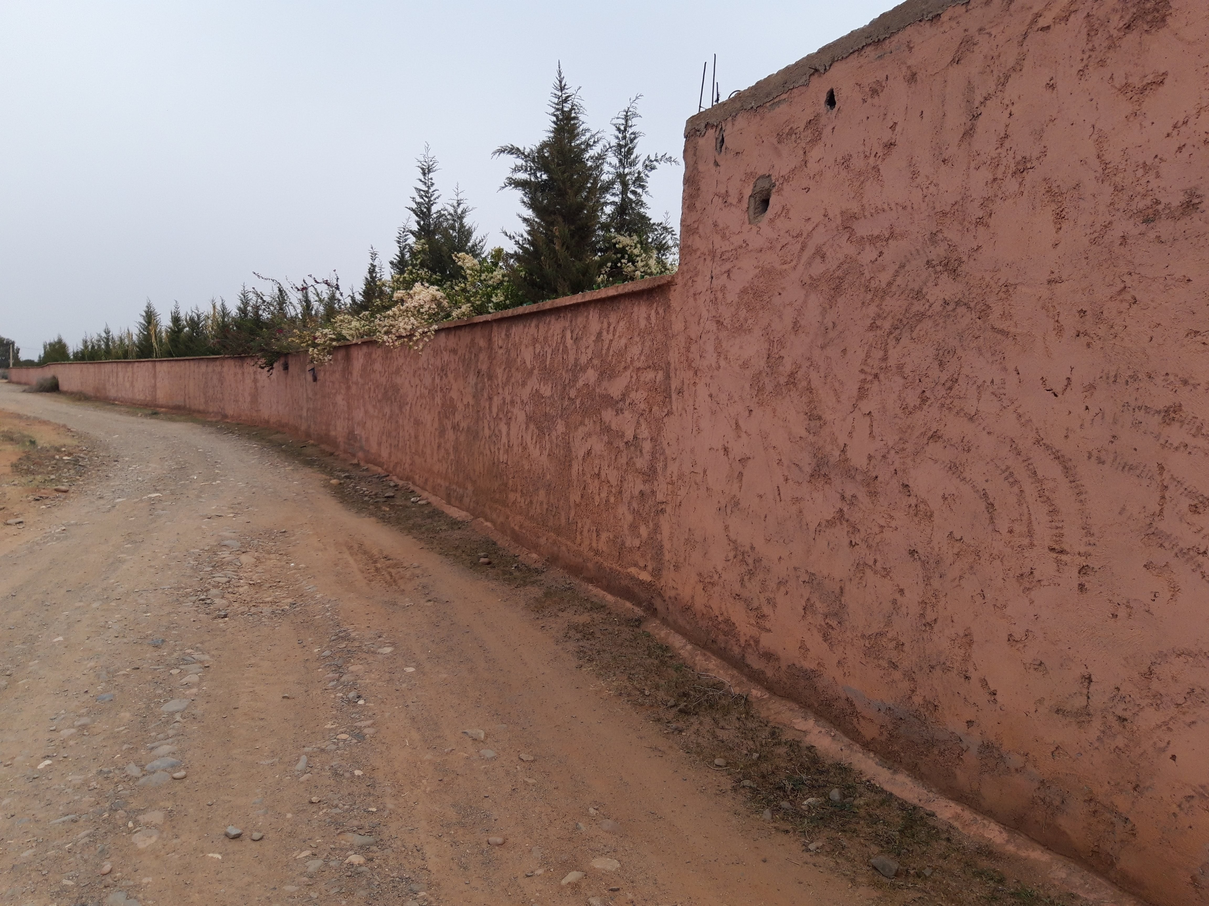 Ferme titrée de 4 Hectares à Sidi Abdellah Ghiat