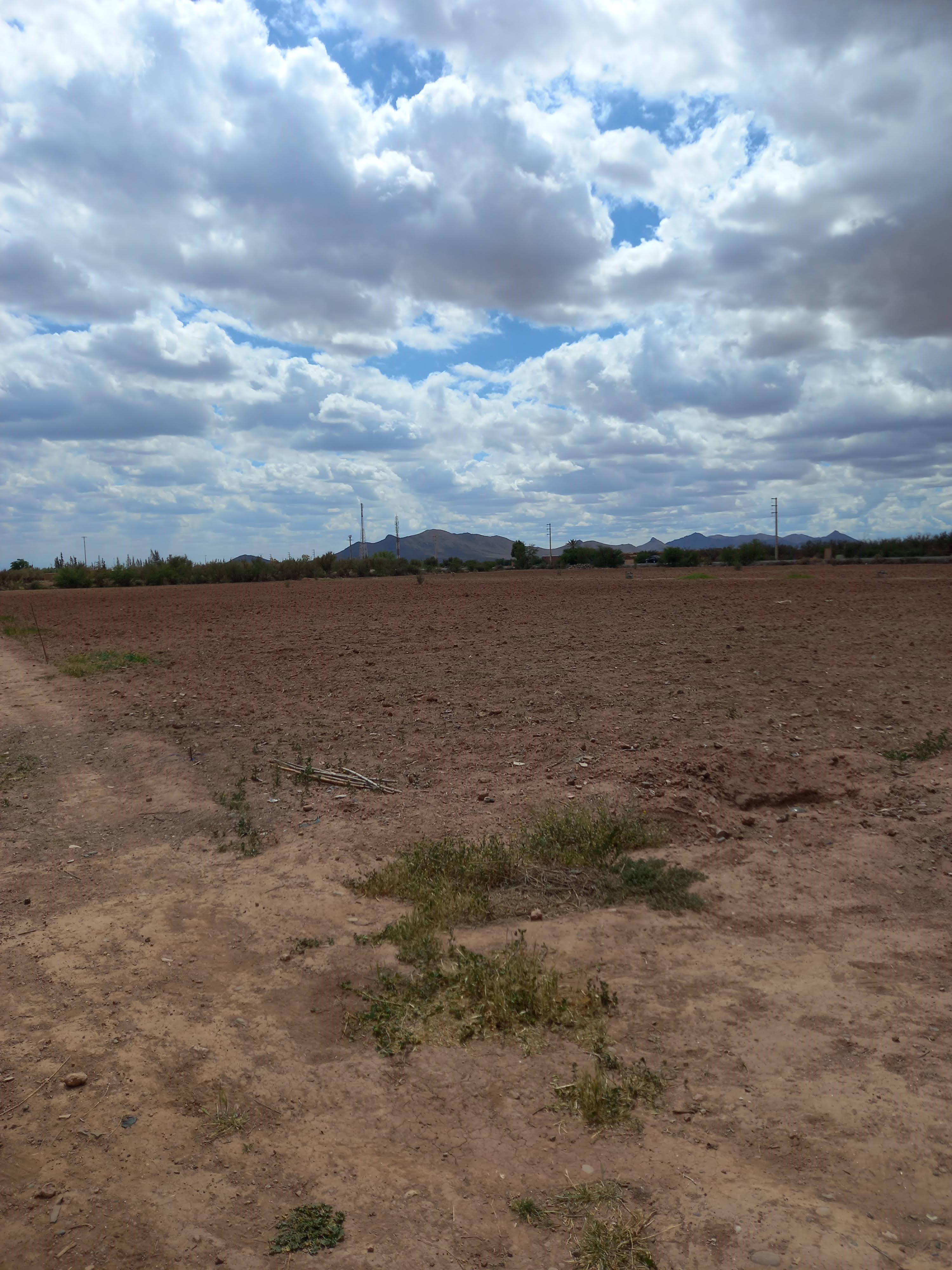 Ferme de 2.5 hectares sur la roue de Fès — 4