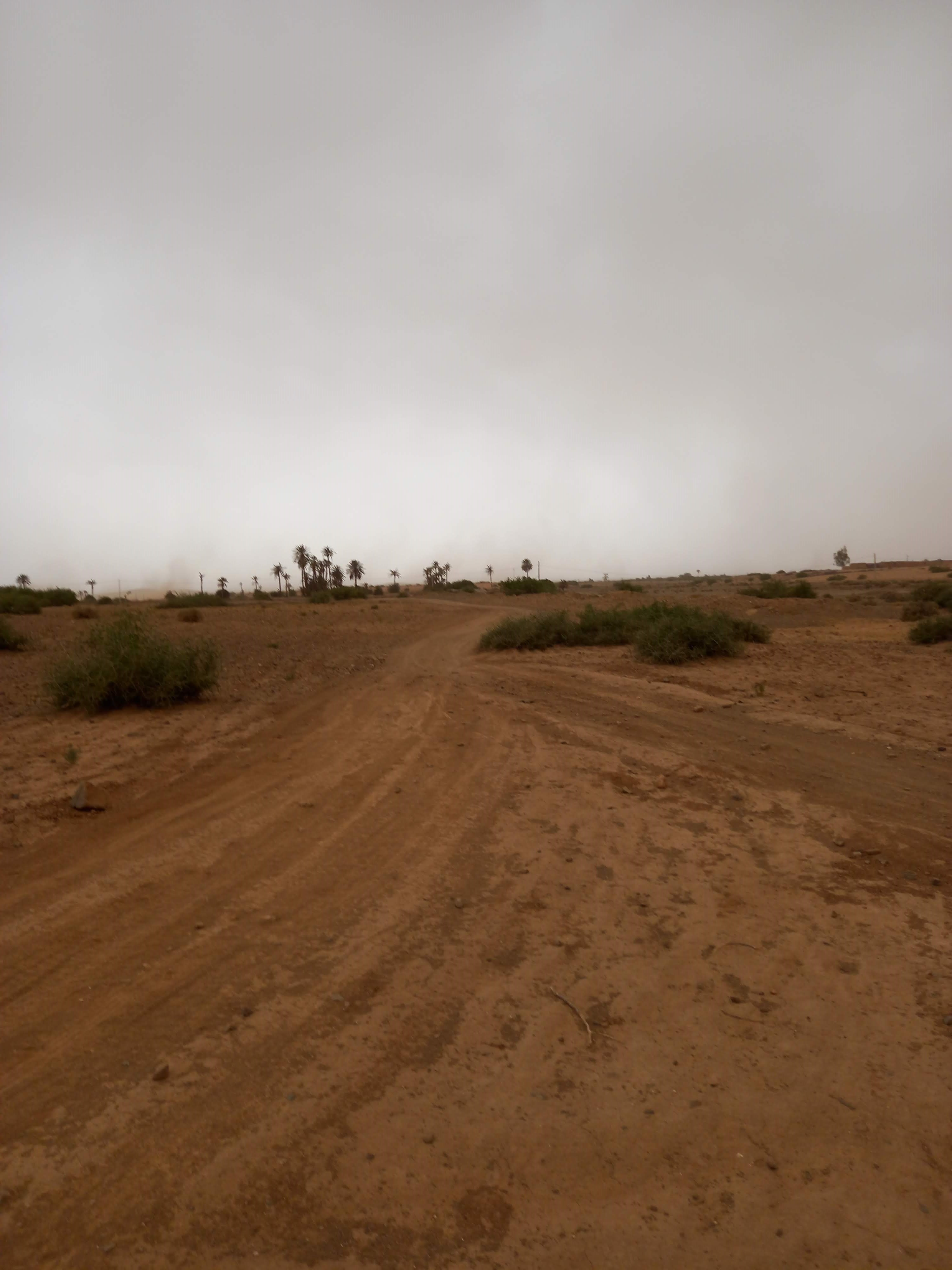 Terrain 15153 m² à Route de Casablanca — 3