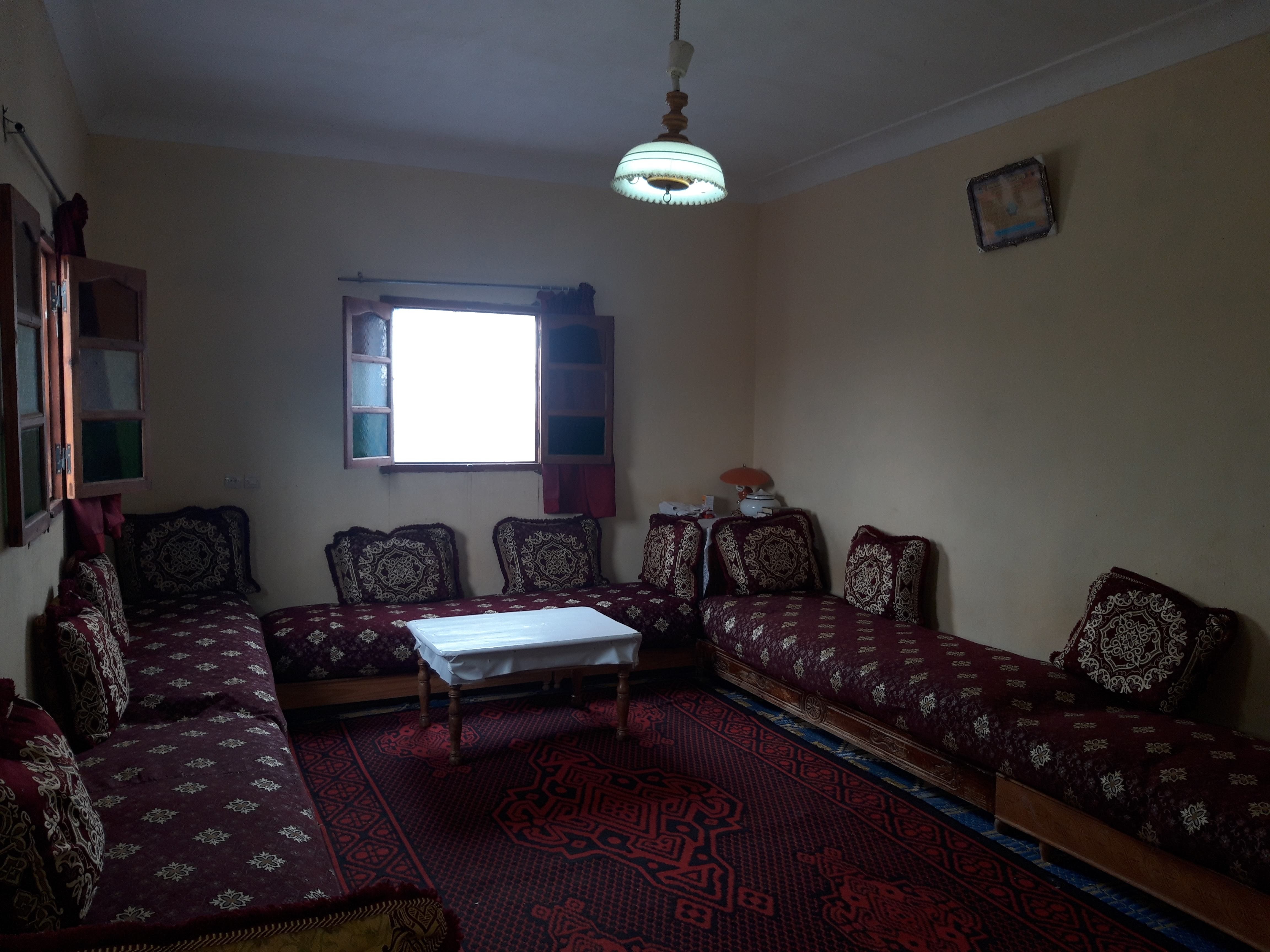 Ferme titrée de 4 Hectares à Sidi Abdellah Ghiat — 2