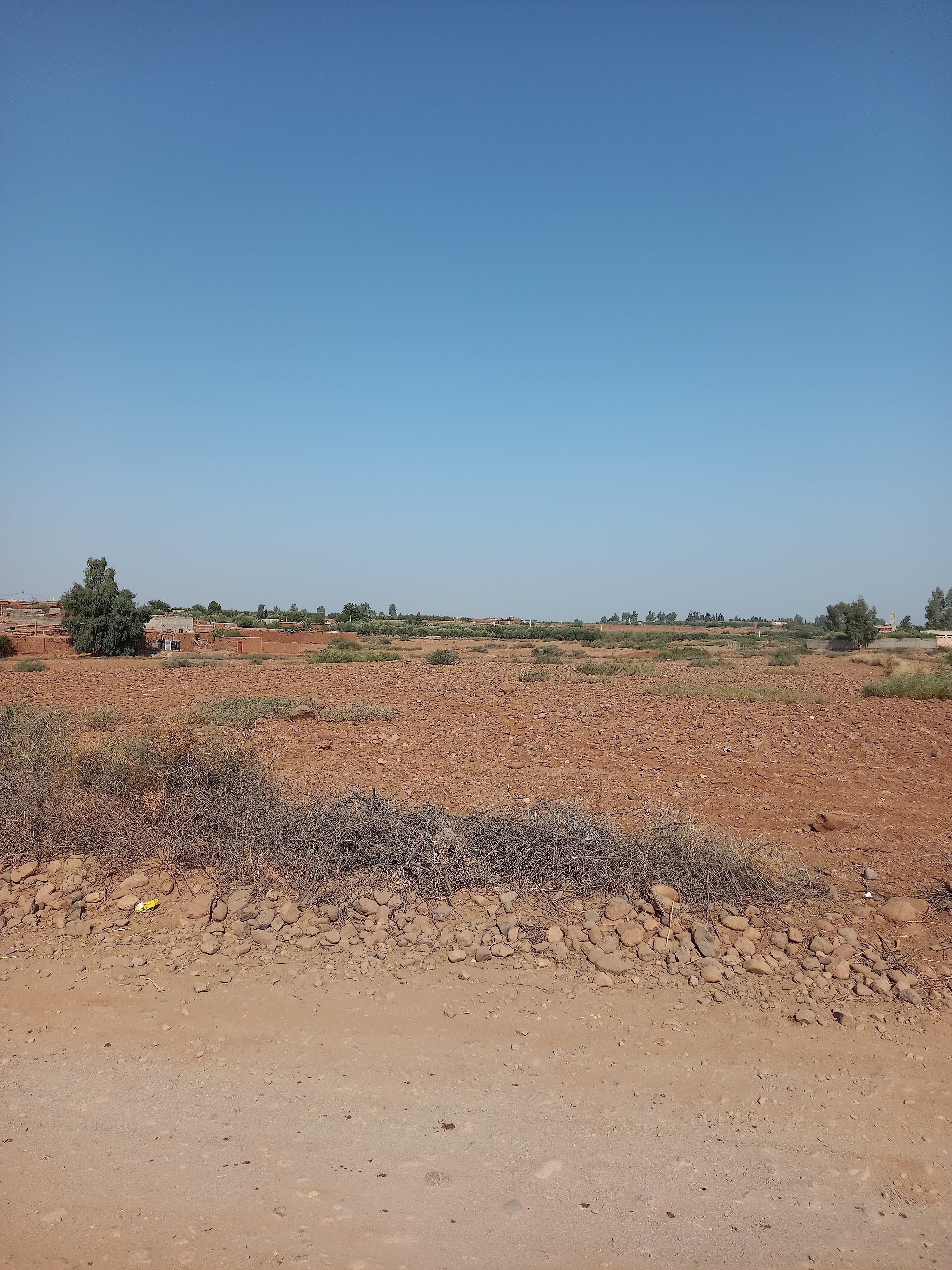Terrain de 13.5H à 20 km de Marrkech Rte Ourika — 2