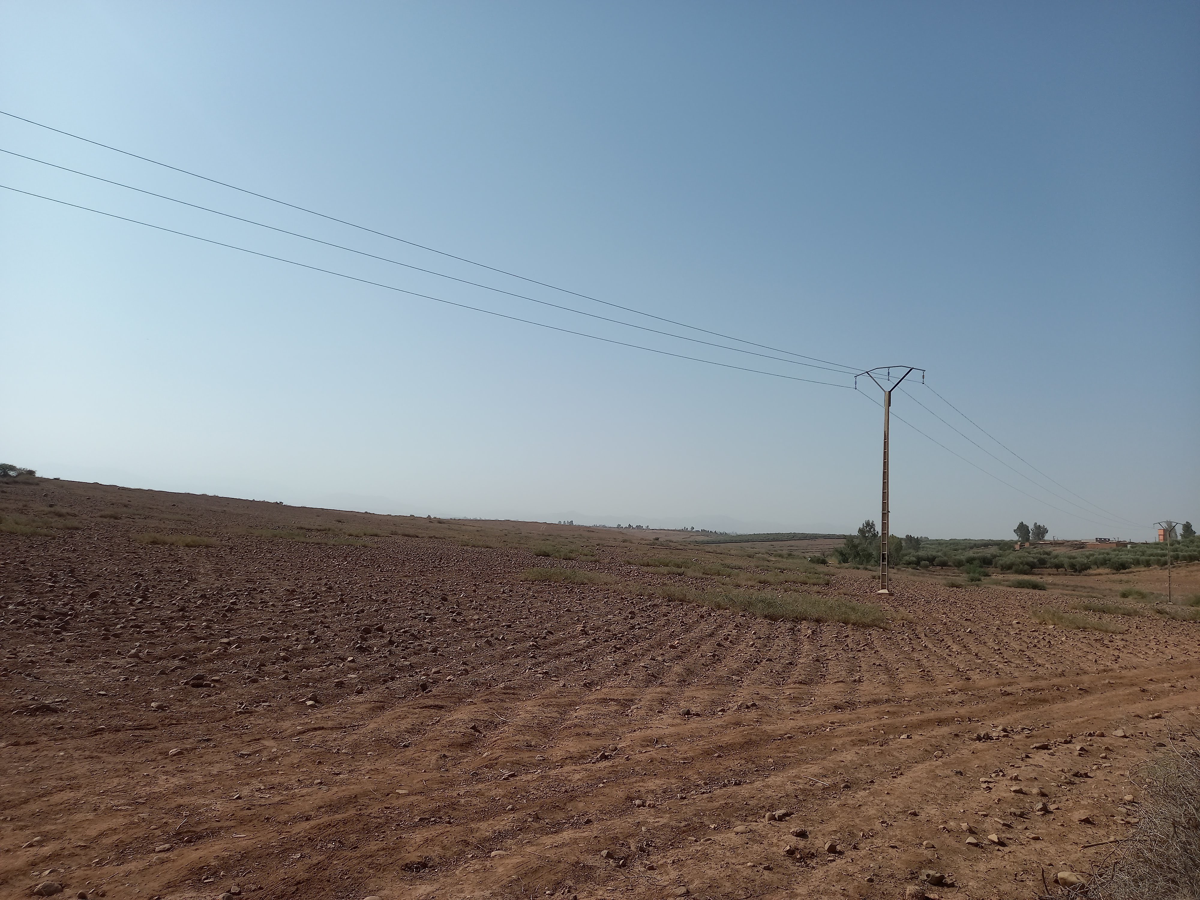 Terrain de 13.5H à 20 km de Marrkech Rte Ourika — 3