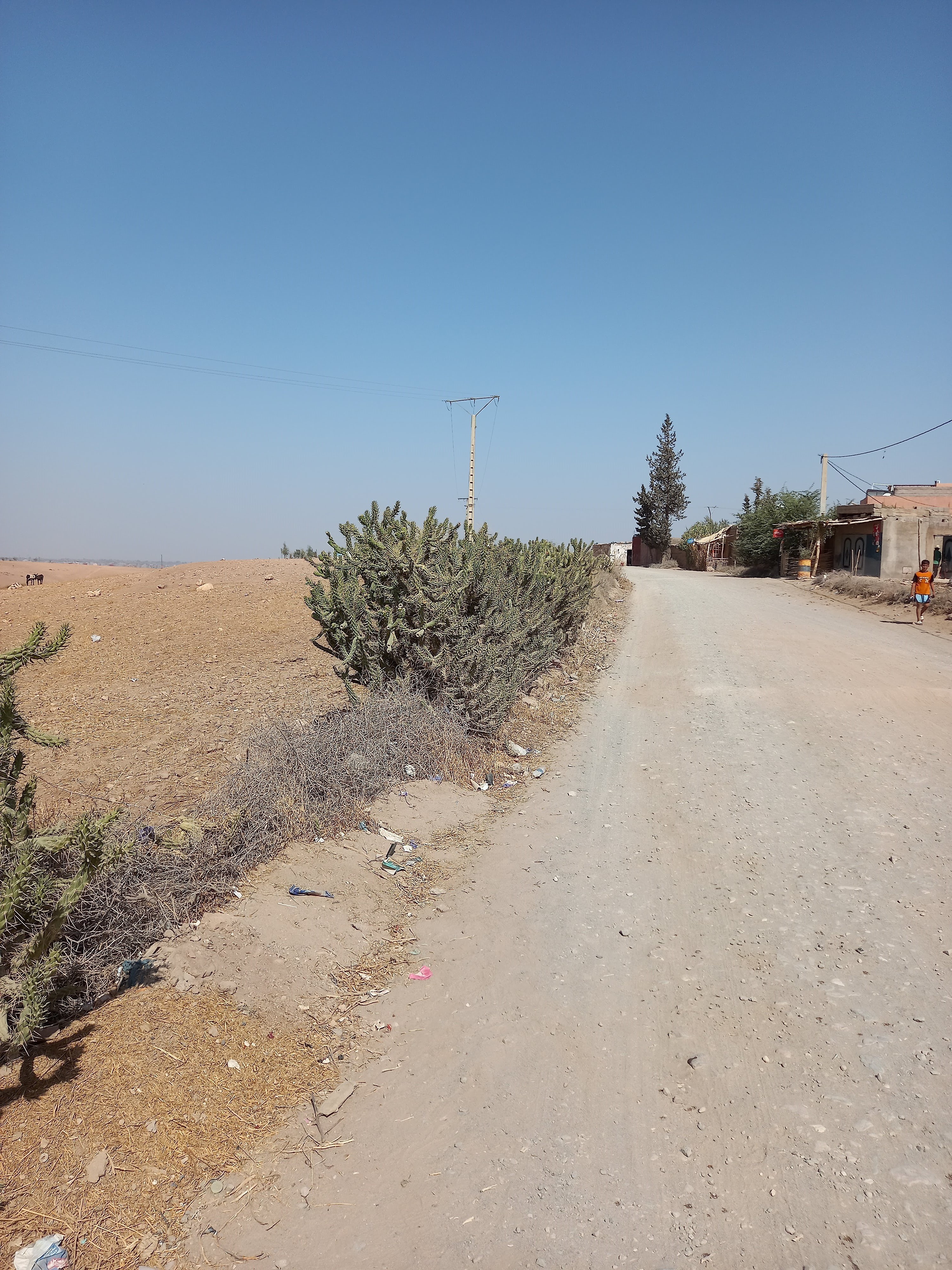 Terrain de 4.6H à Tahnaout 30 km de Marrakech — 6