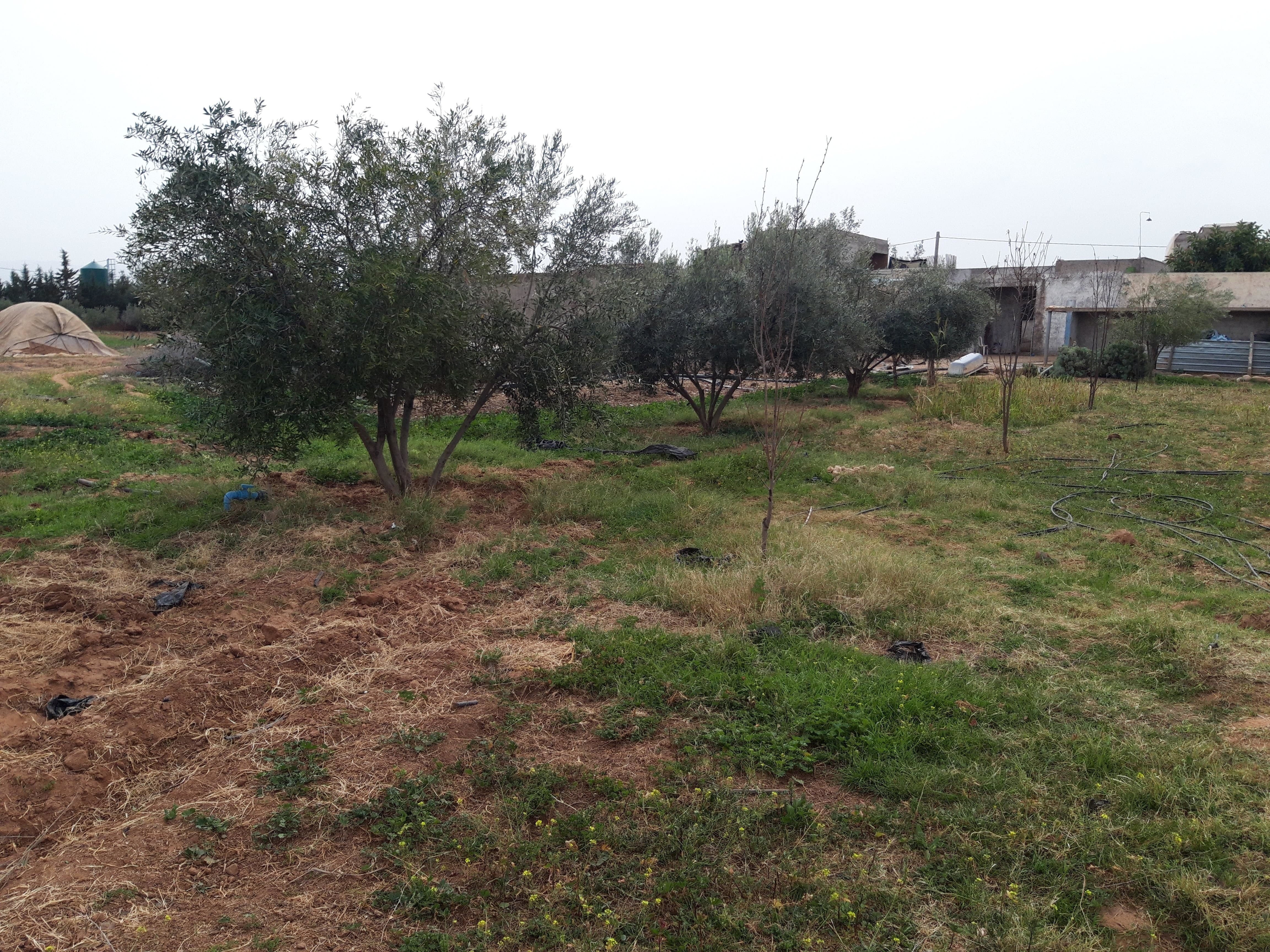 Terrain 40000 m² f Sidi Abdellah Ghiat — 7
