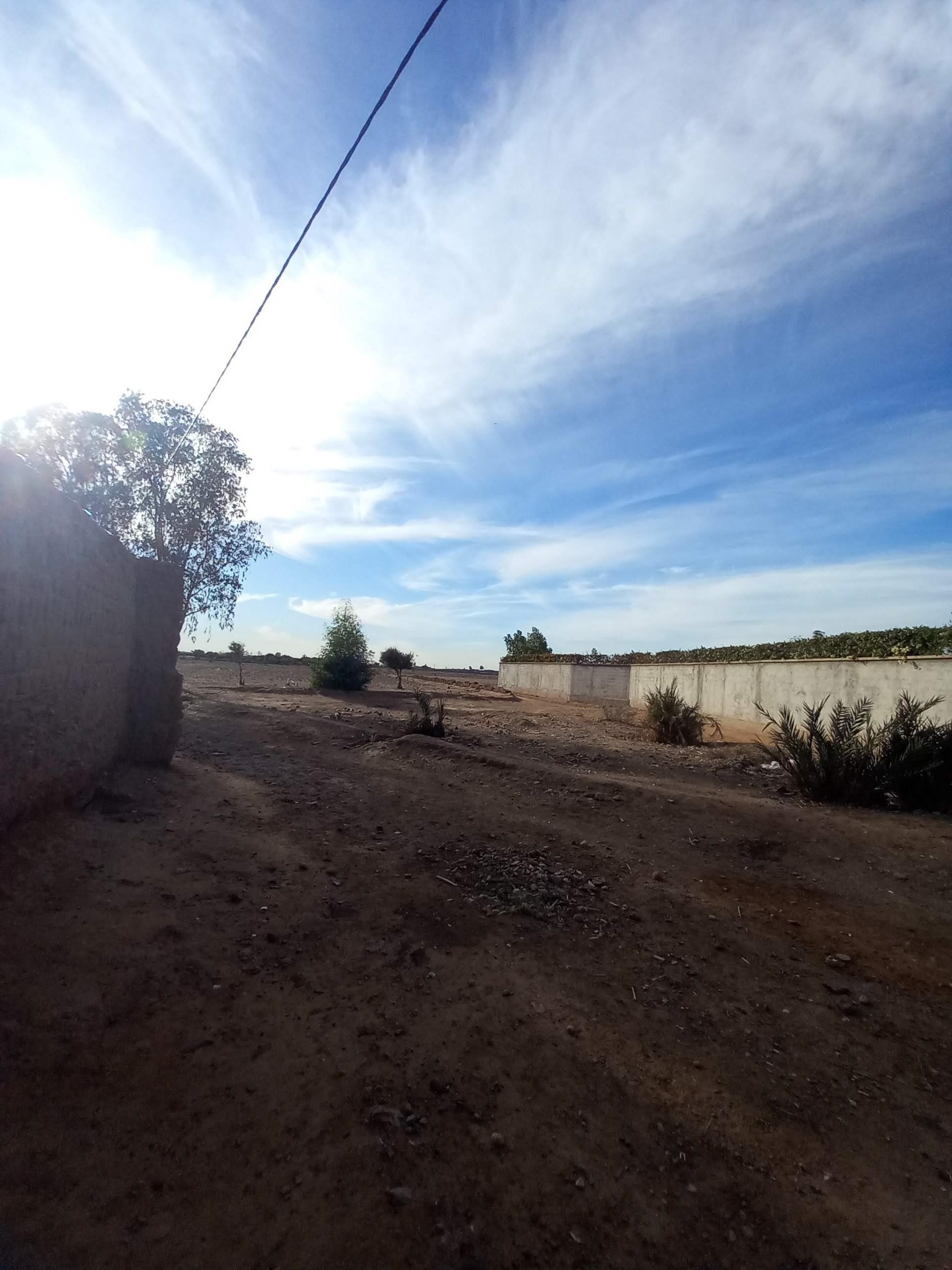 Terrain Melkia à 23 km Rte de Fès — 6