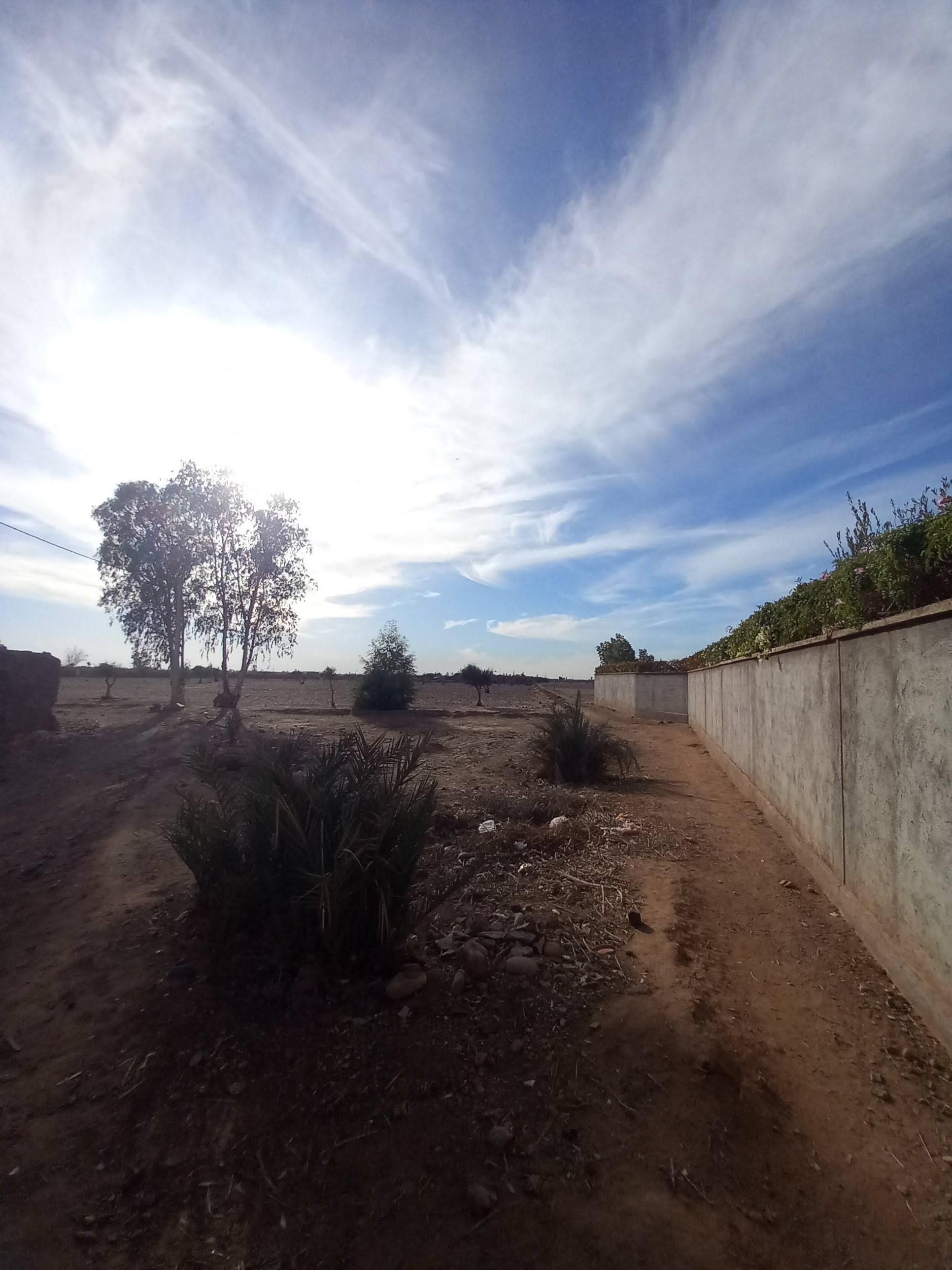 Terrain Melkia à 23 km Rte de Fès — 5
