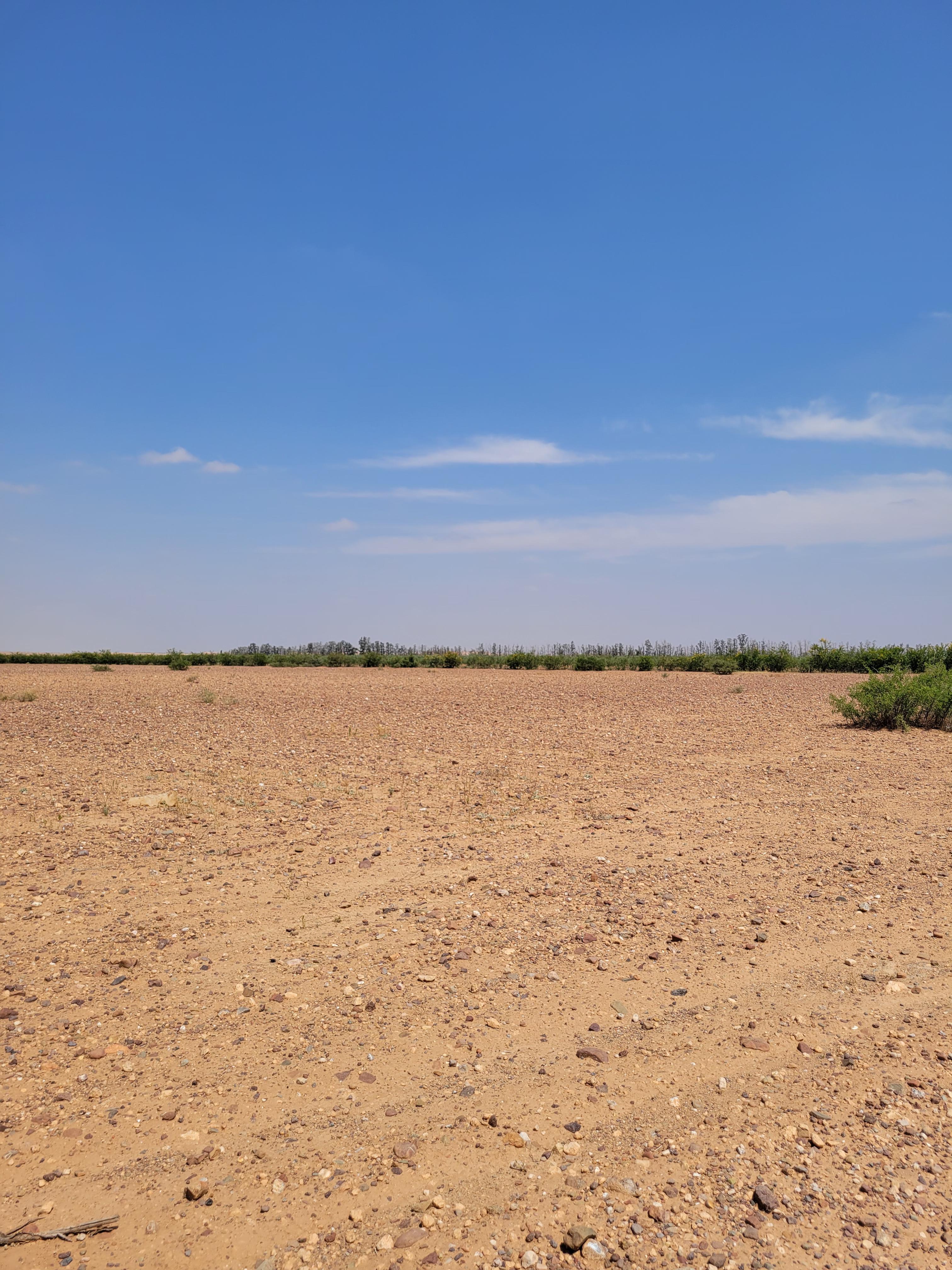 Terrains de 5 hectares en réquisition Rte Amizmiz