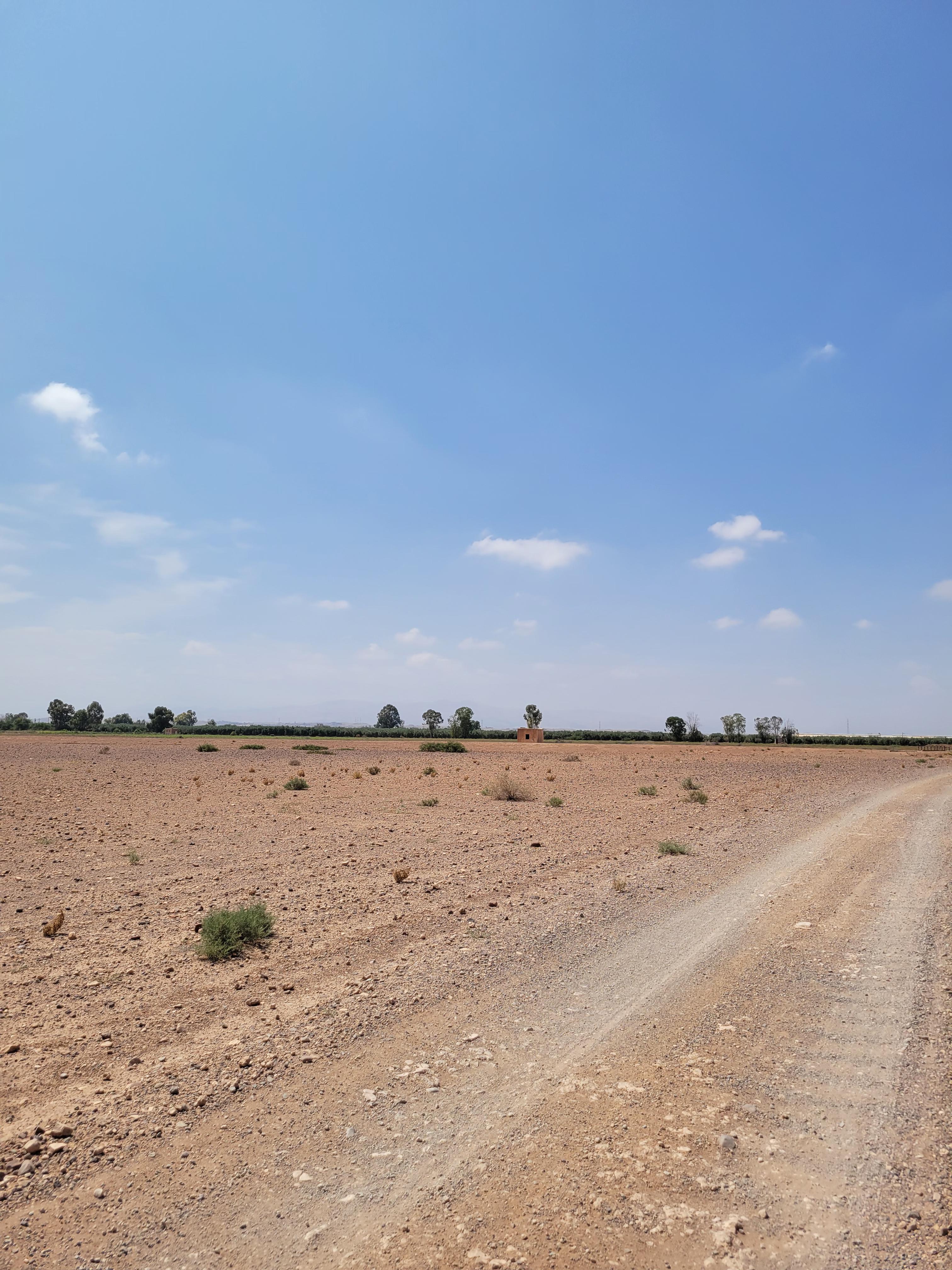 Terrains de 5 hectares en réquisition Rte Amizmiz — 3